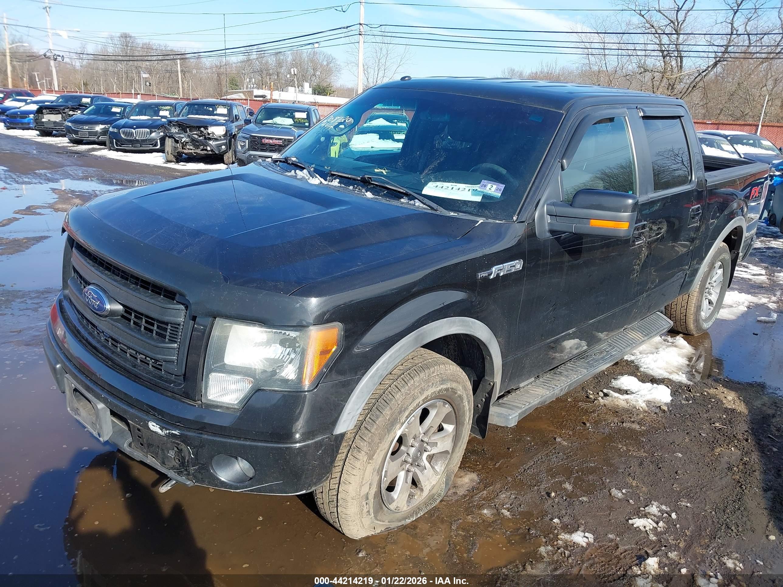FORD F-150 image 2