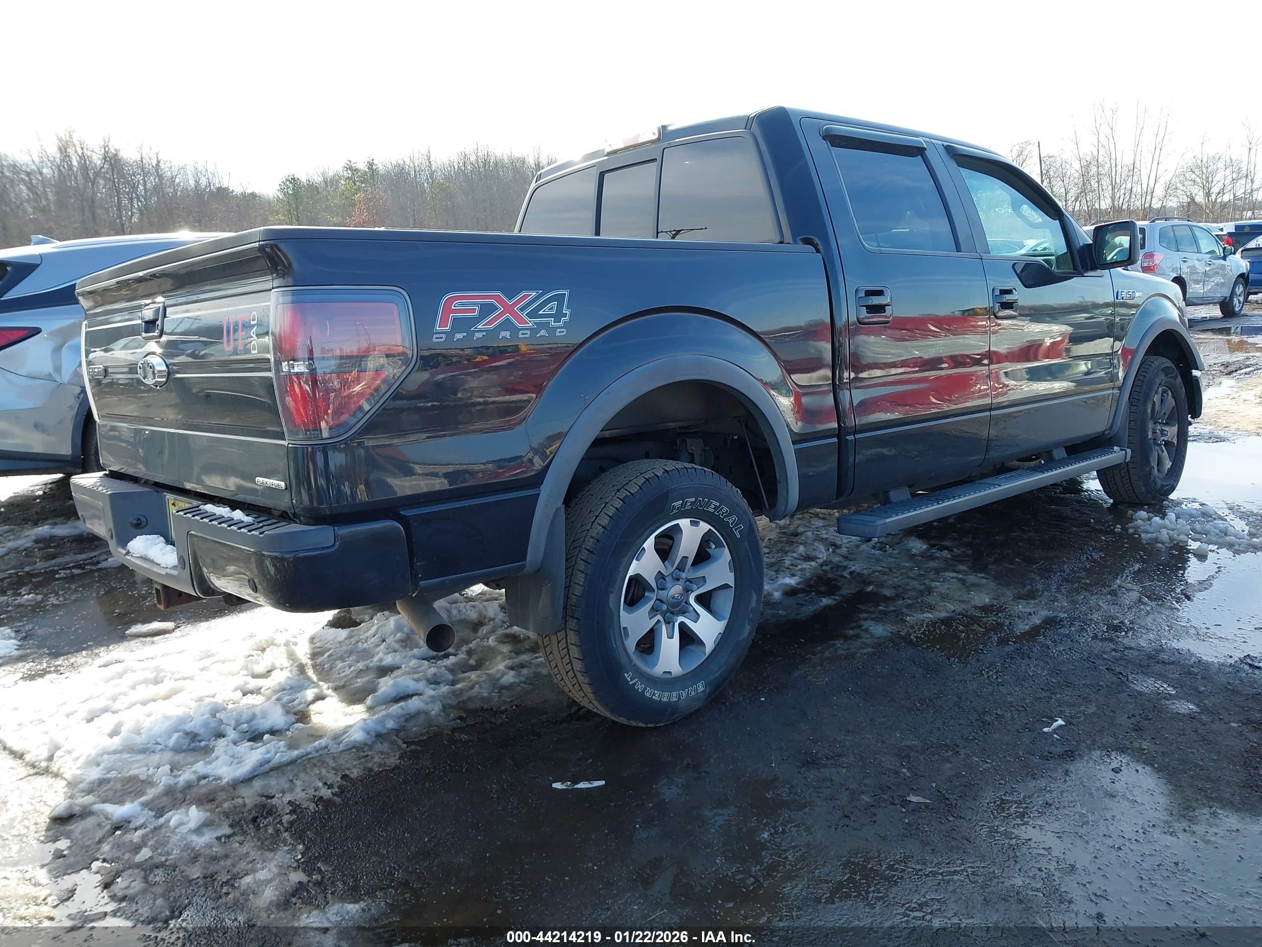 FORD F-150 image 4