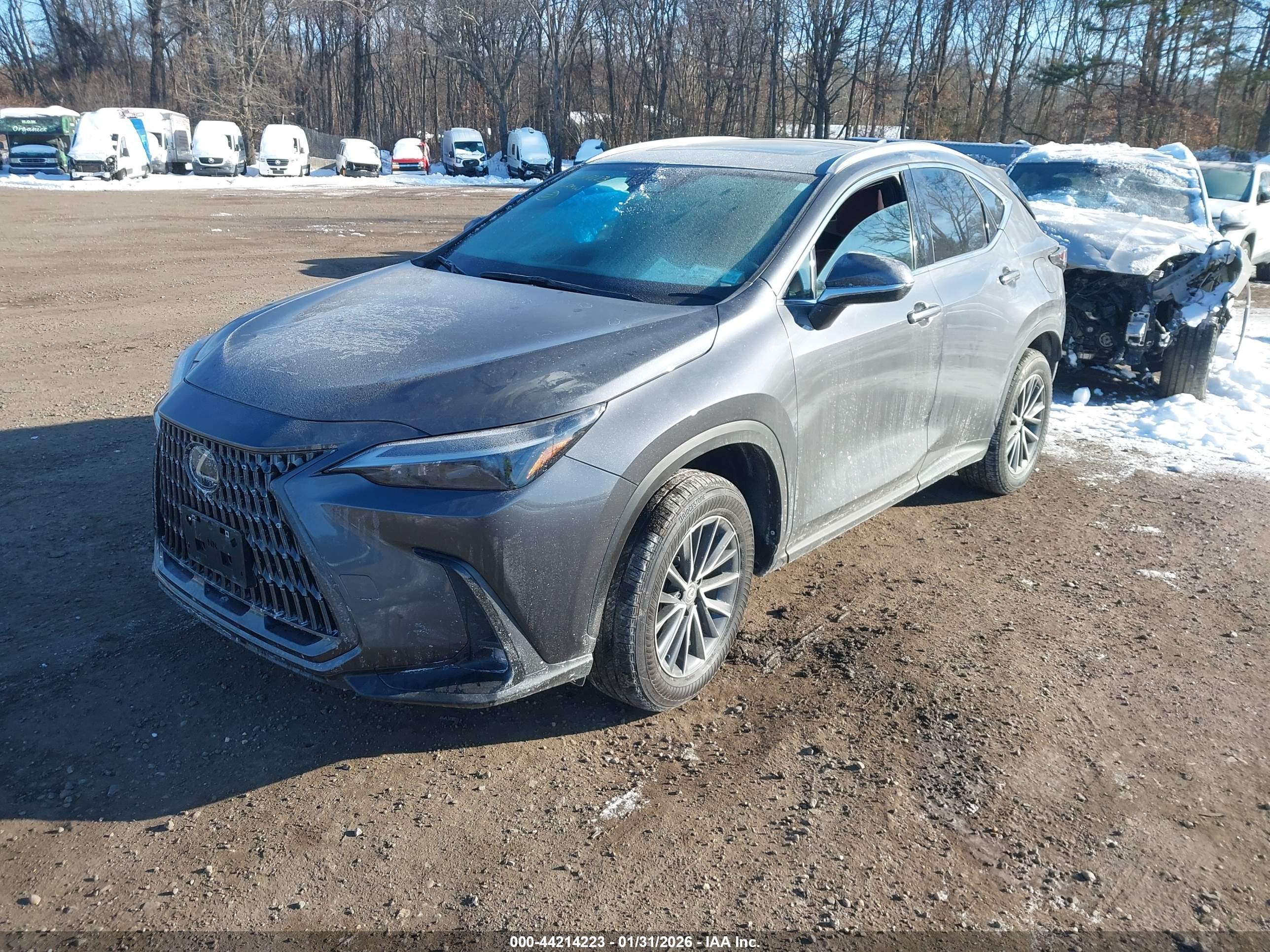 LEXUS NX image 2