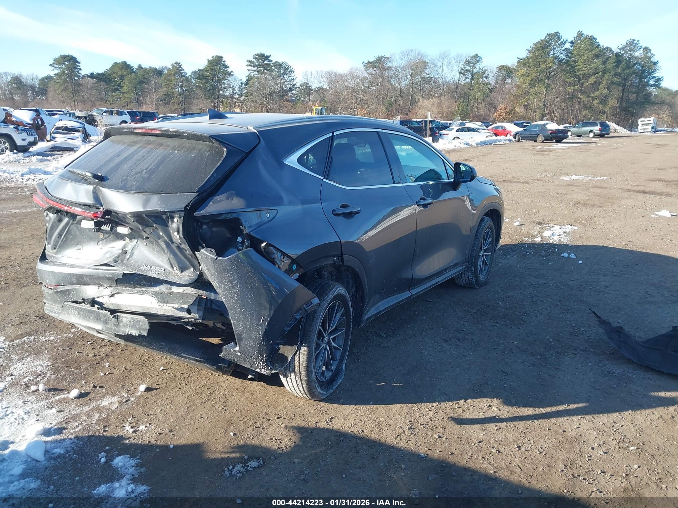LEXUS NX image 4