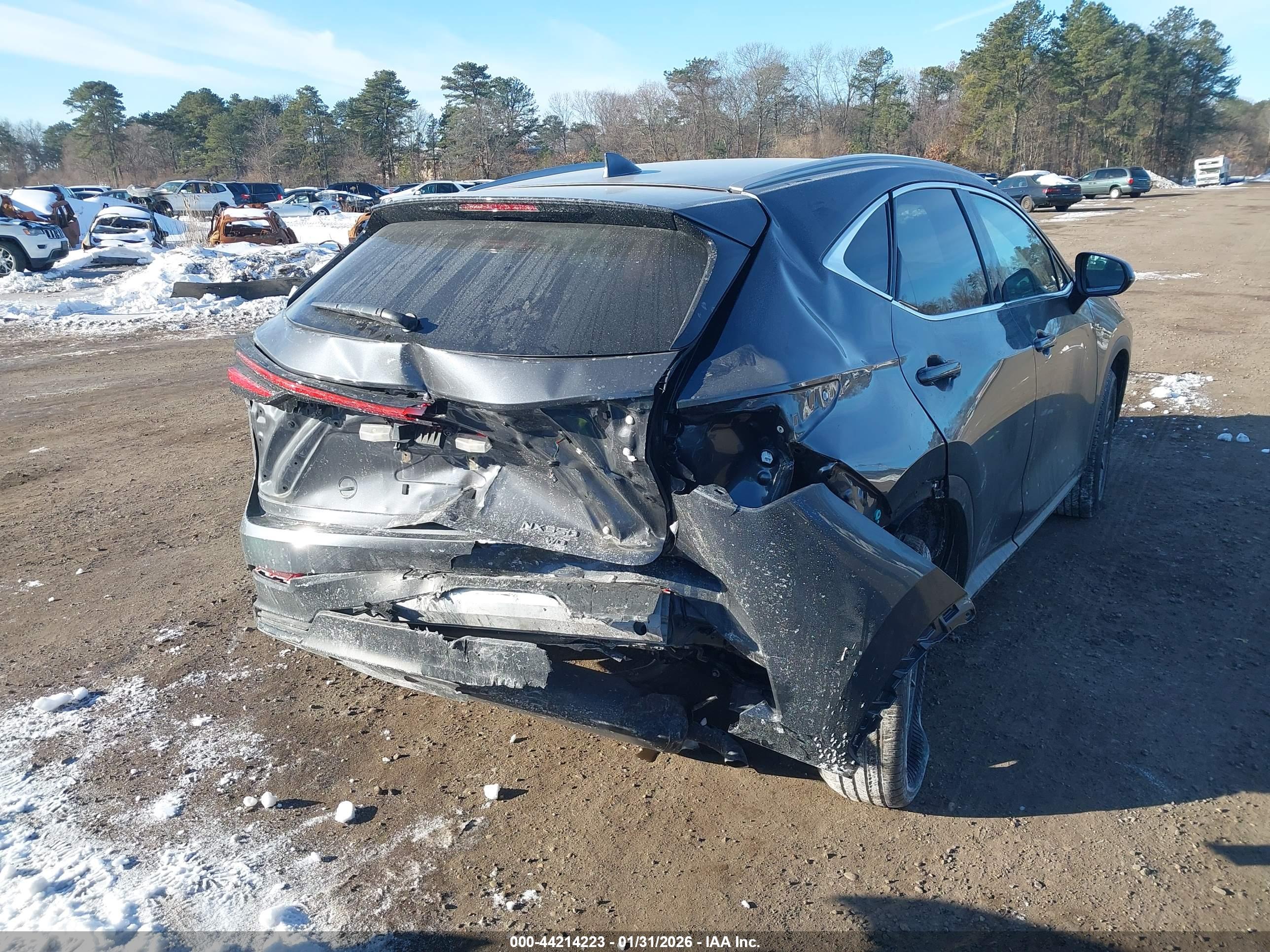 LEXUS NX image 6