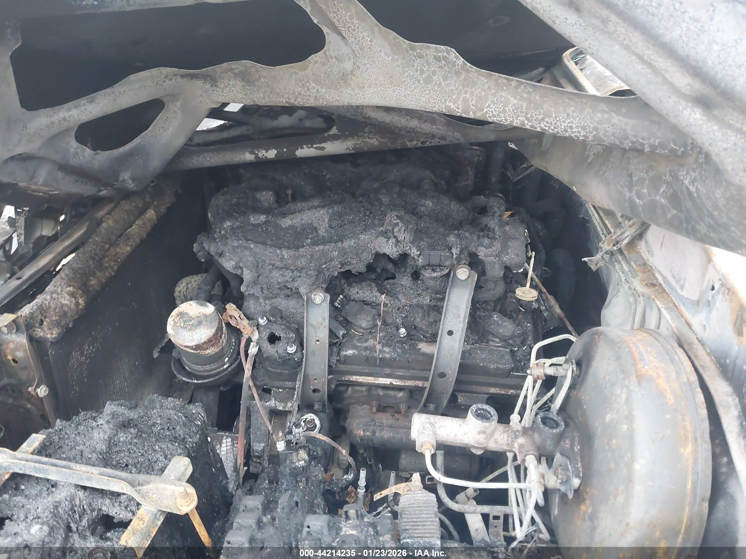TOYOTA TUNDRA image 10