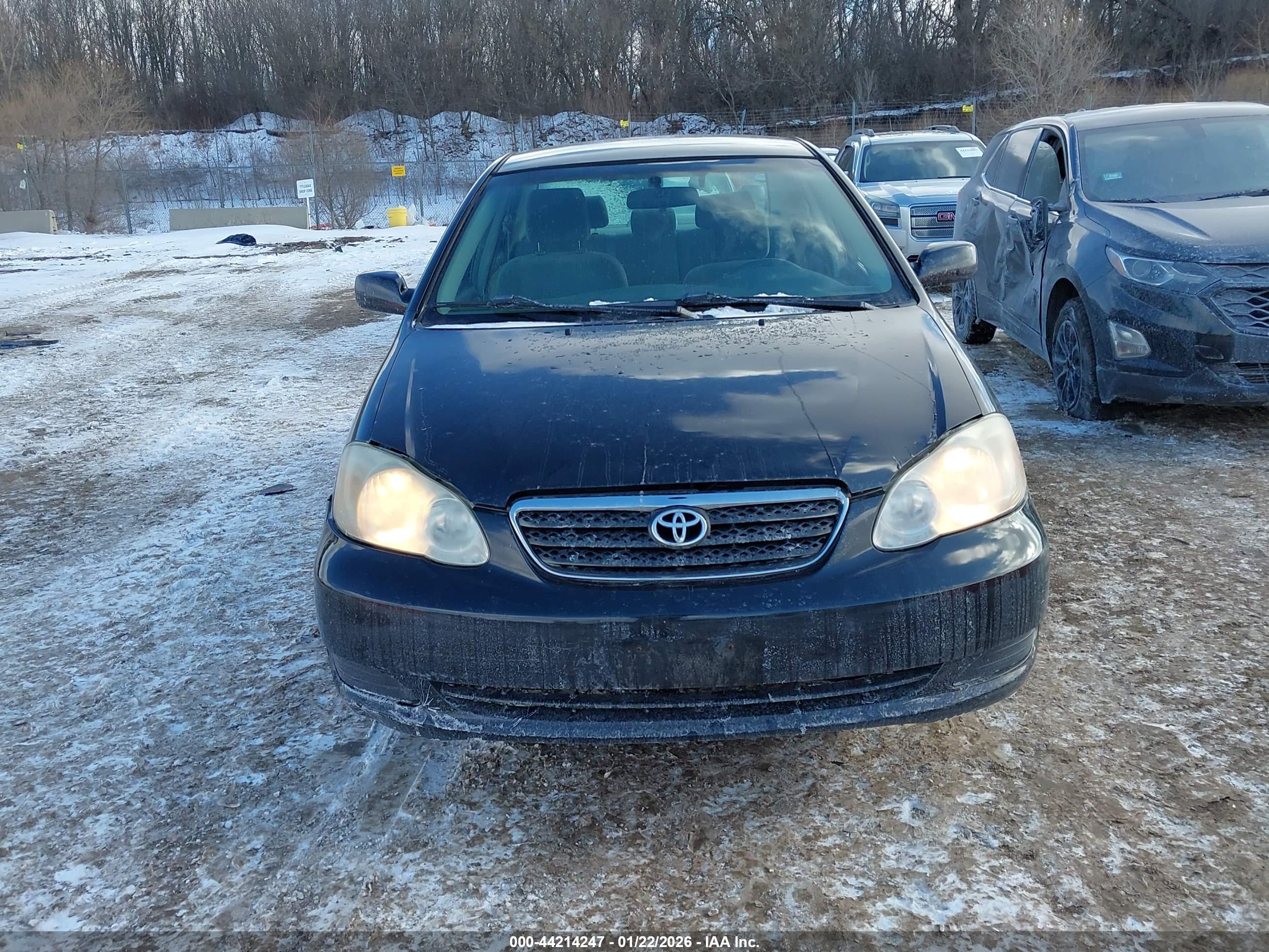 TOYOTA COROLLA image 6