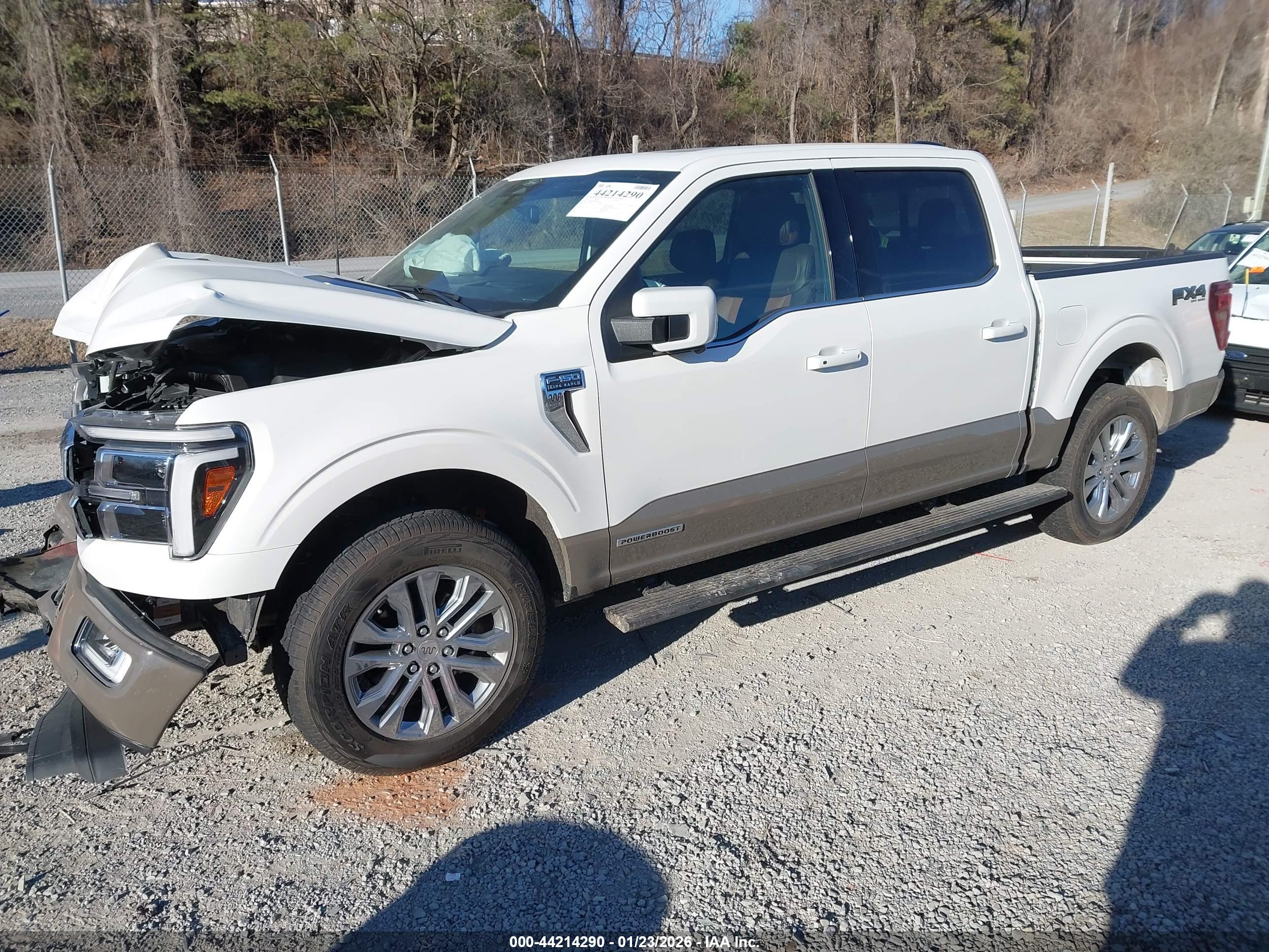 FORD F-150 image 2