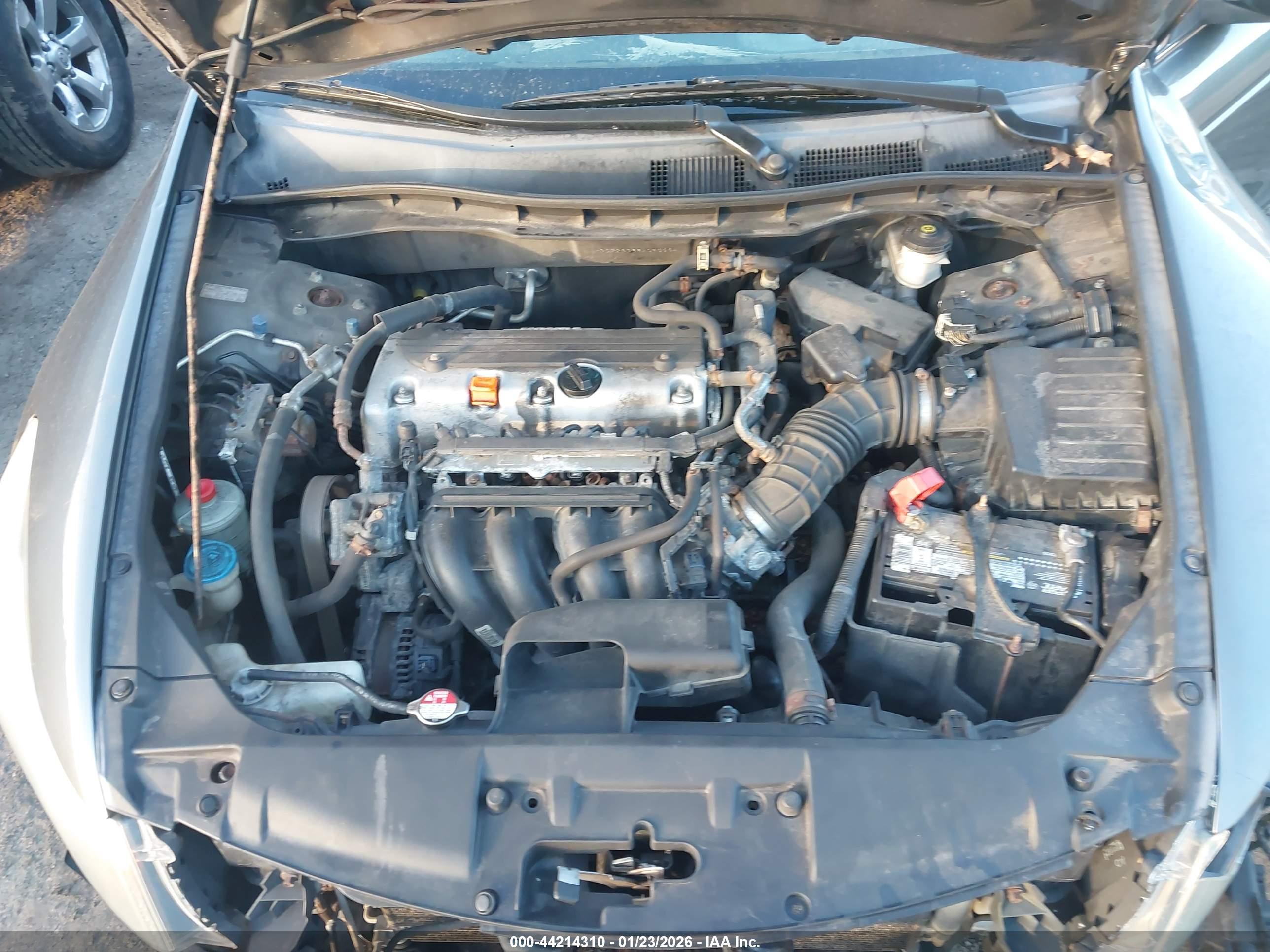 HONDA ACCORD image 10
