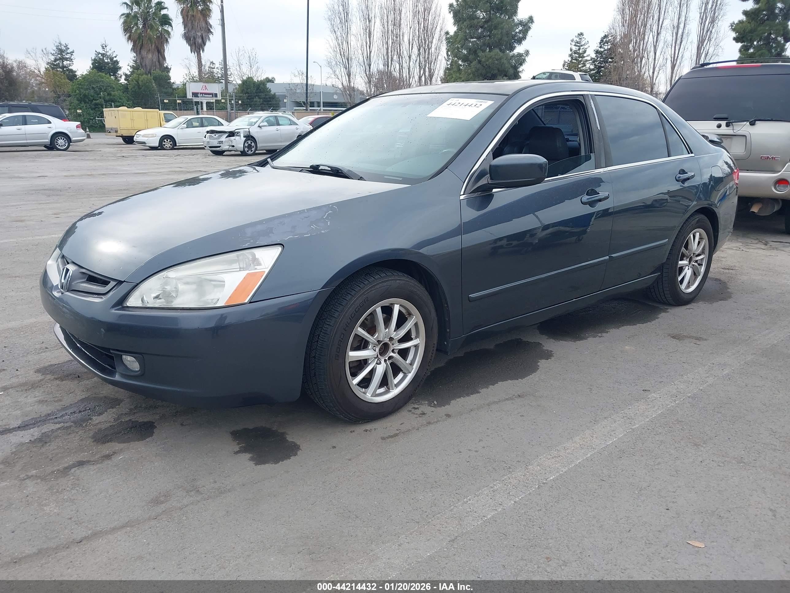 HONDA ACCORD image 2