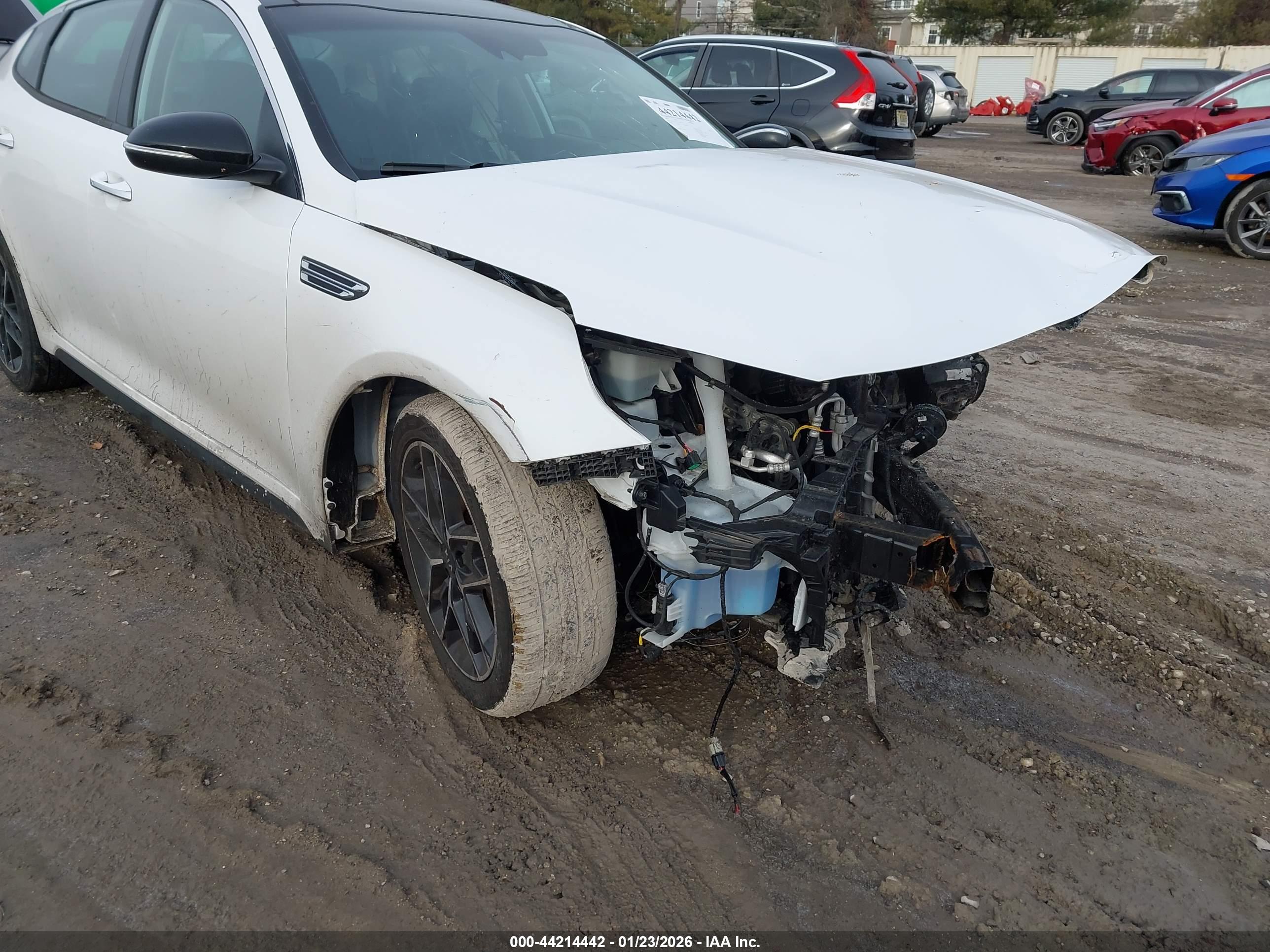 KIA OPTIMA image 6