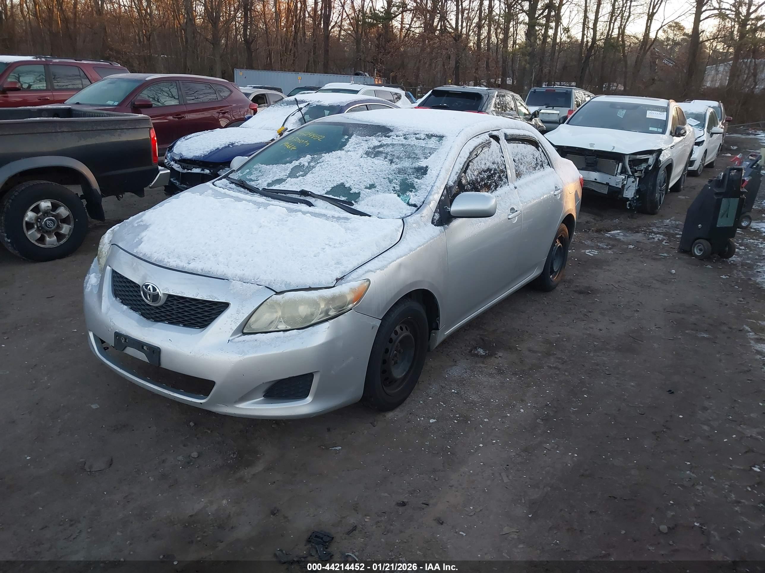 TOYOTA COROLLA image 2