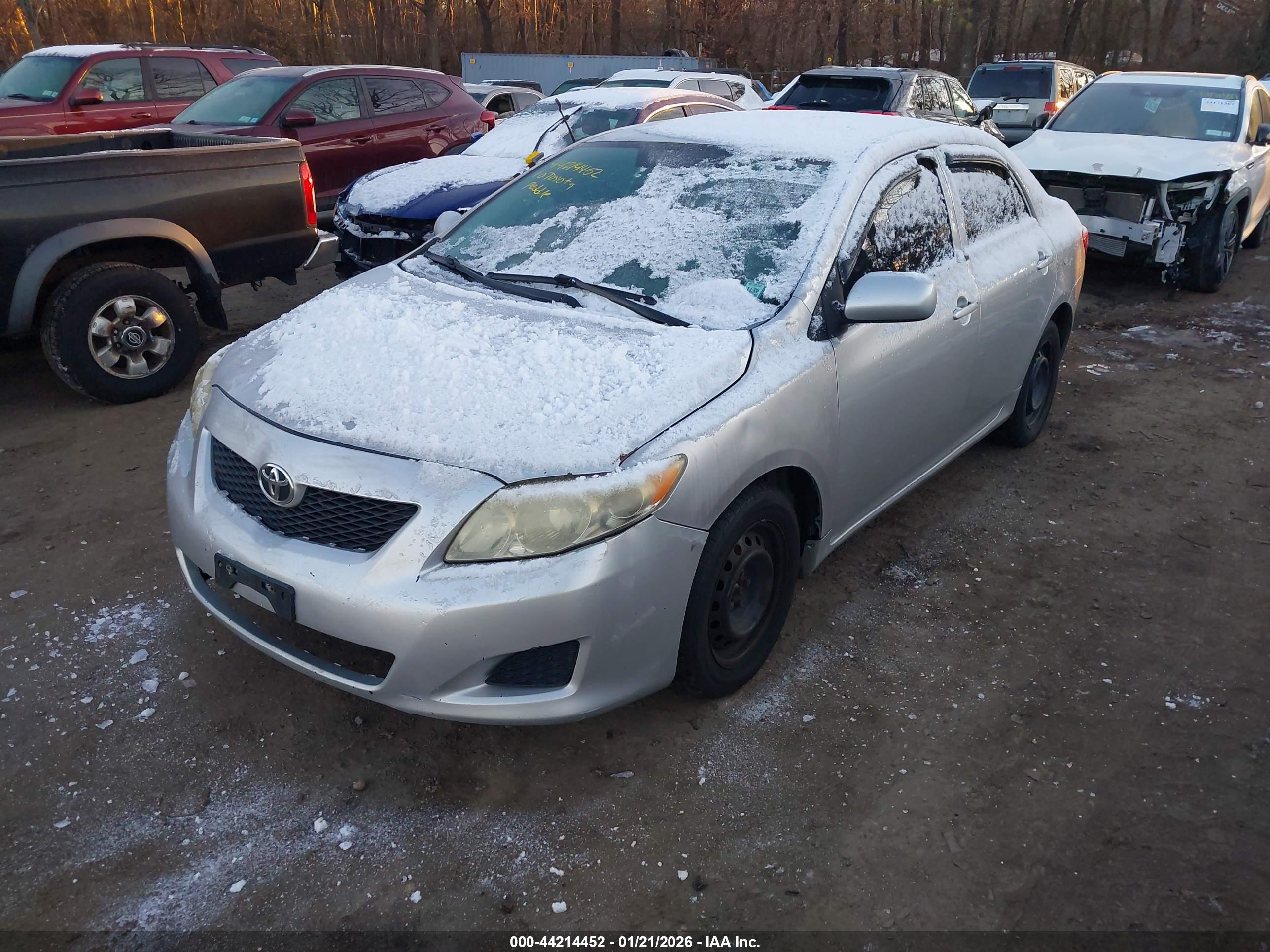TOYOTA COROLLA image 6