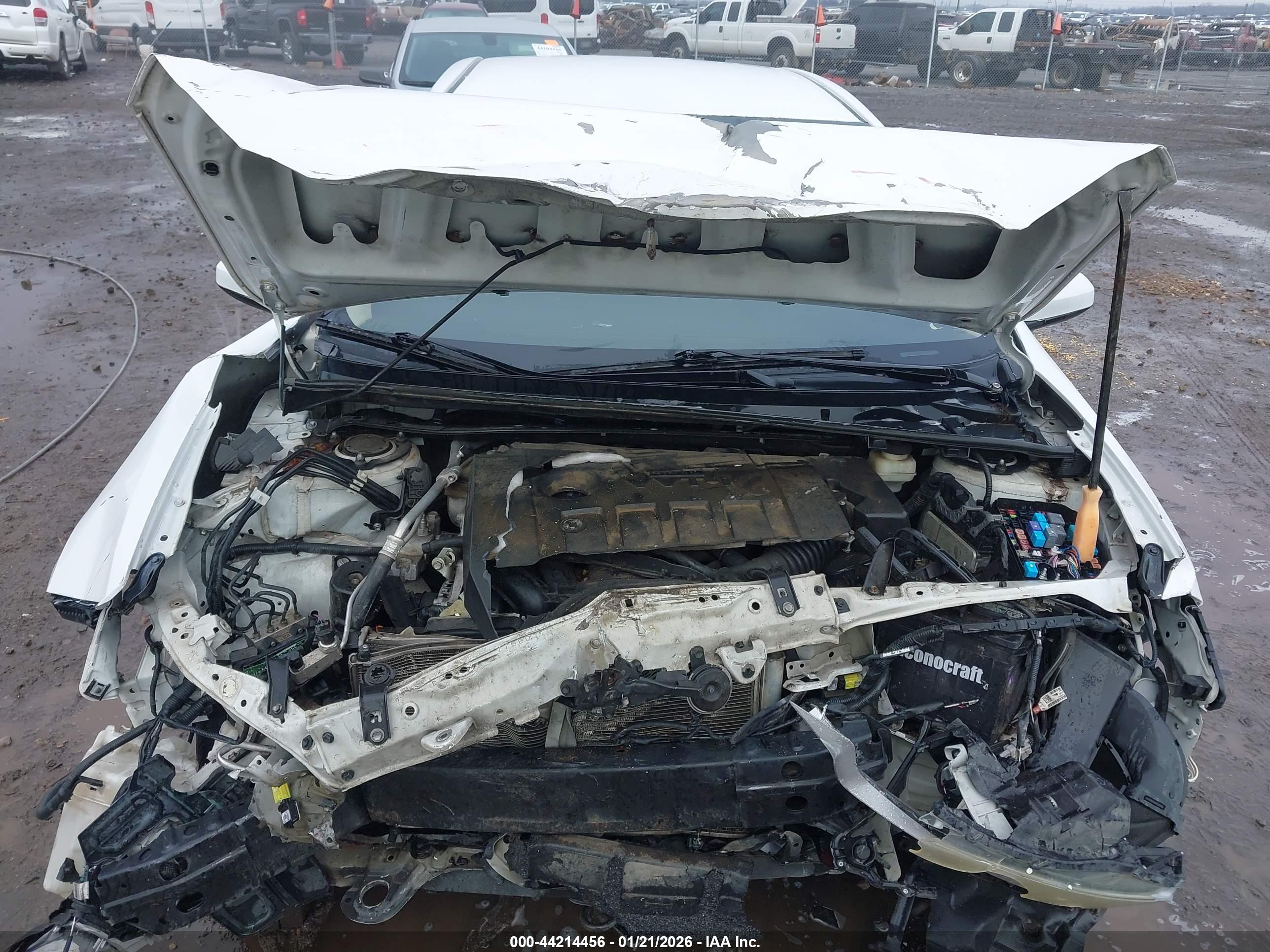 TOYOTA COROLLA image 10