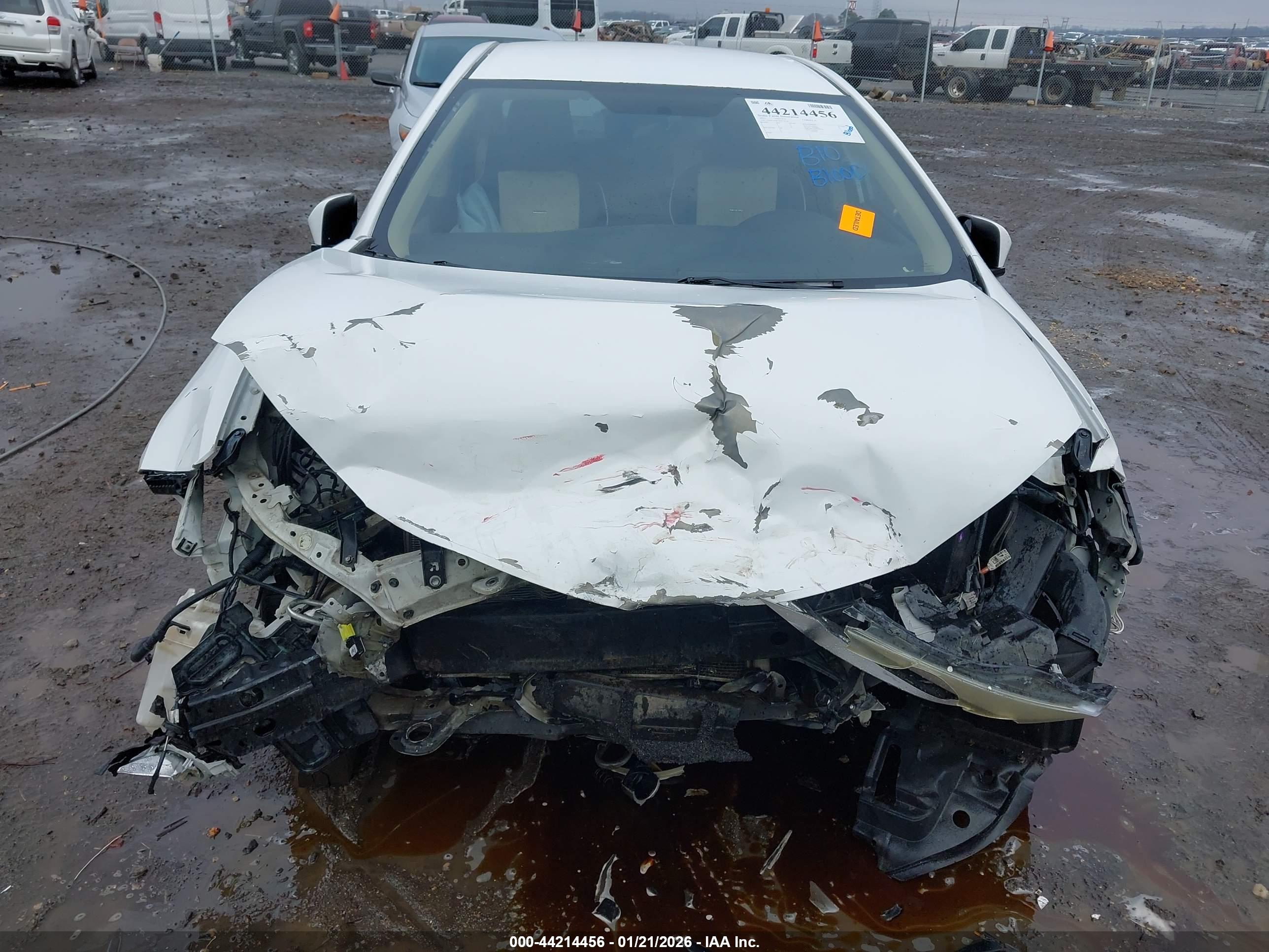 TOYOTA COROLLA image 6