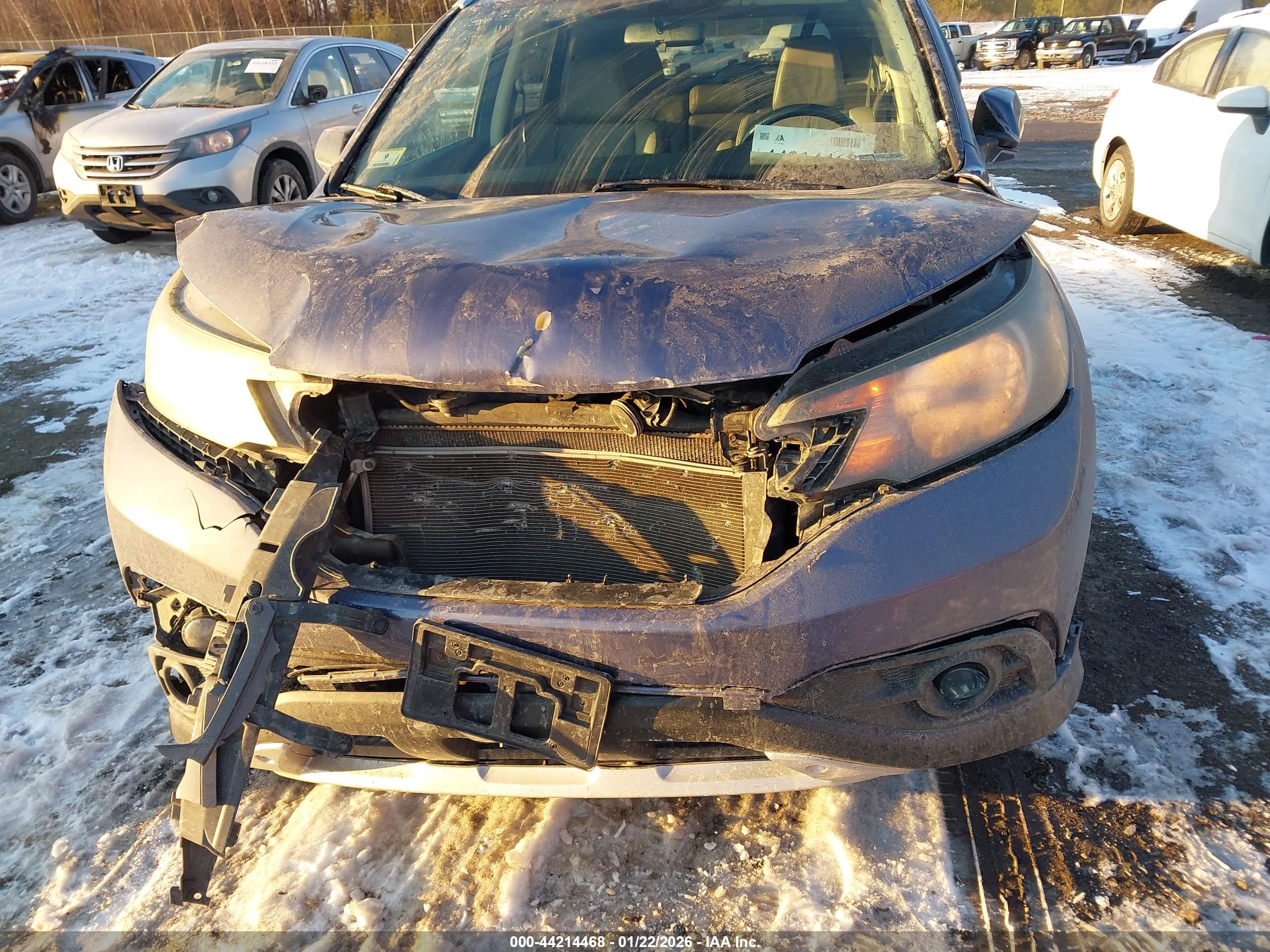 HONDA CR-V image 6