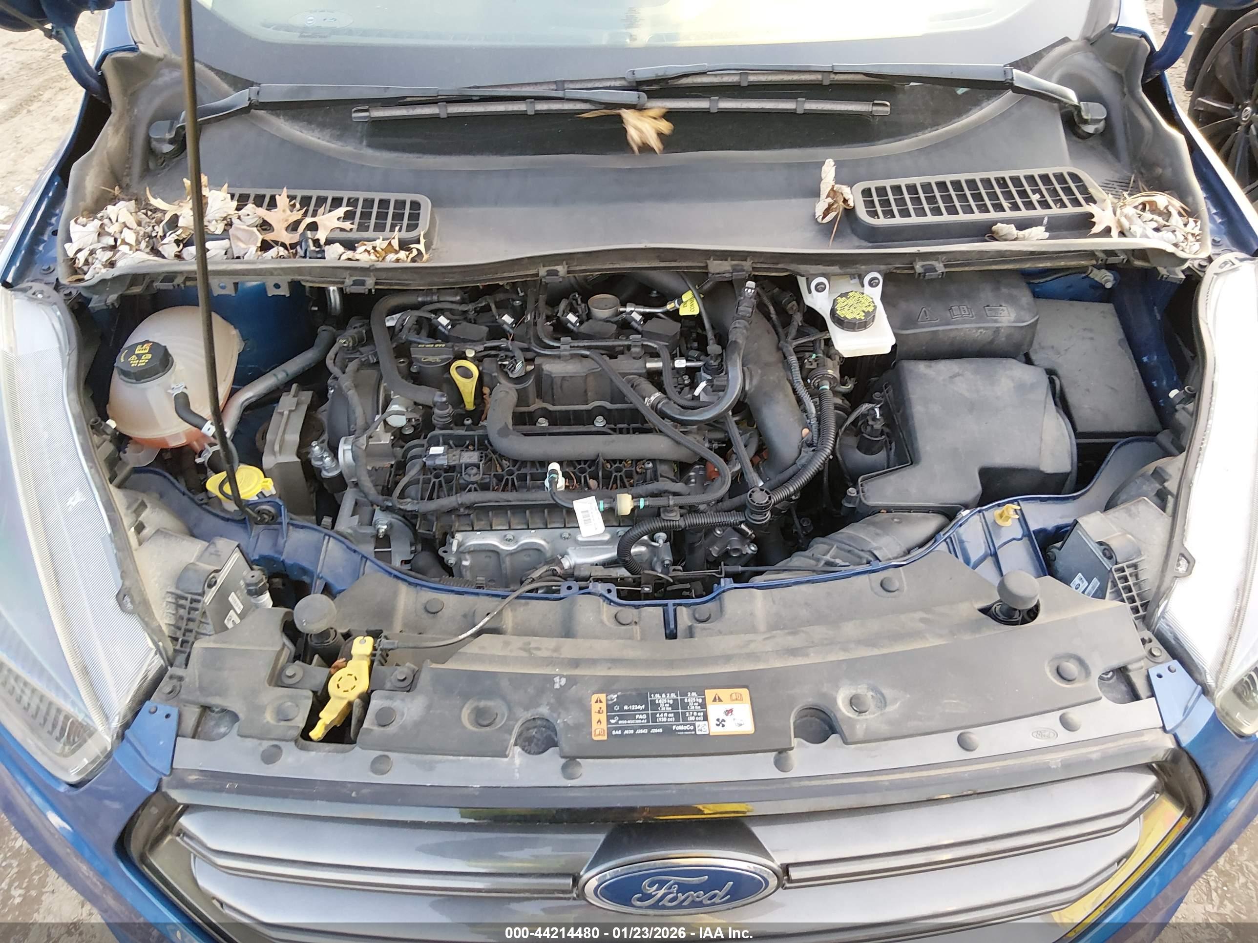 FORD ESCAPE image 10