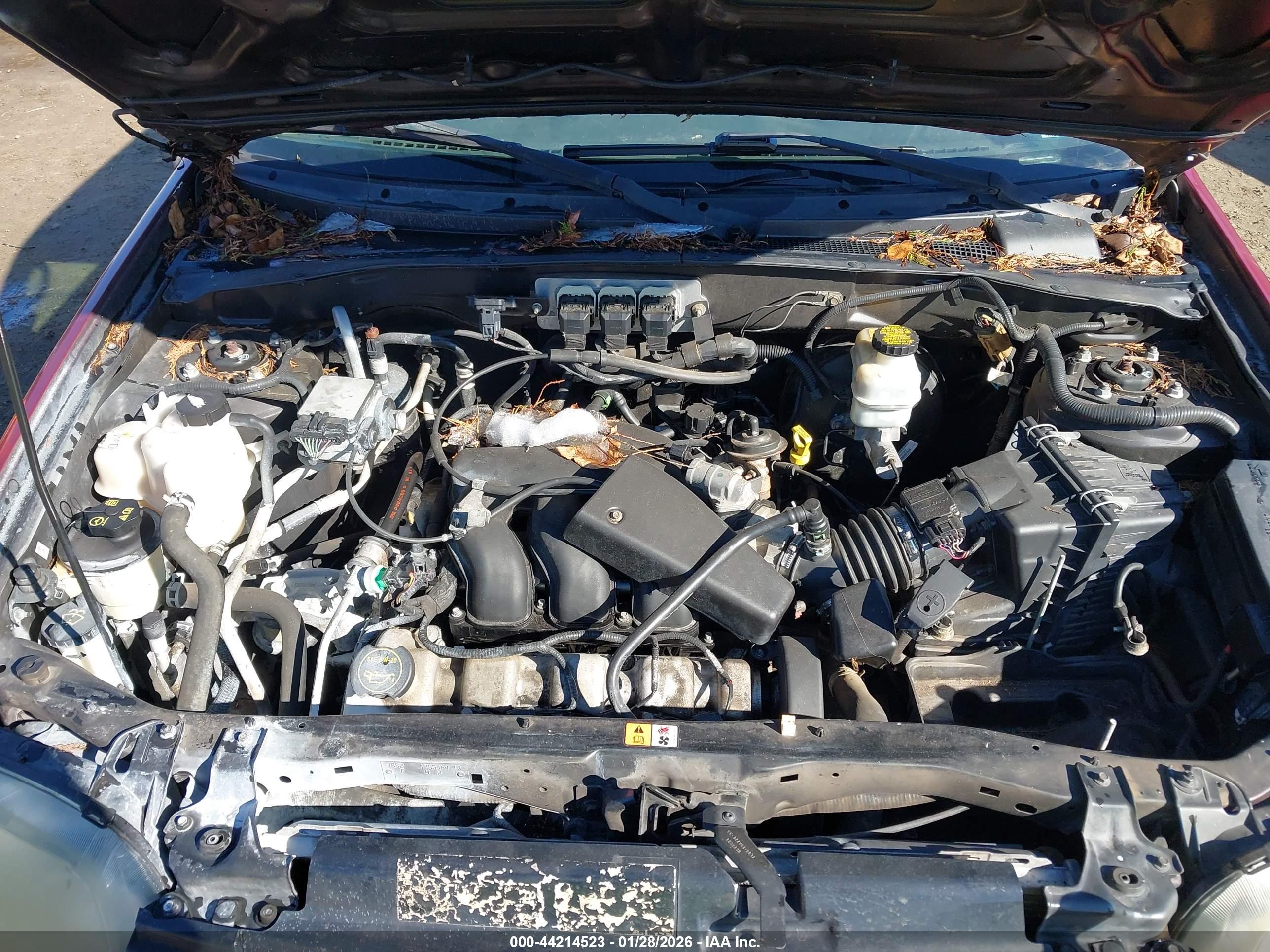 FORD ESCAPE image 10