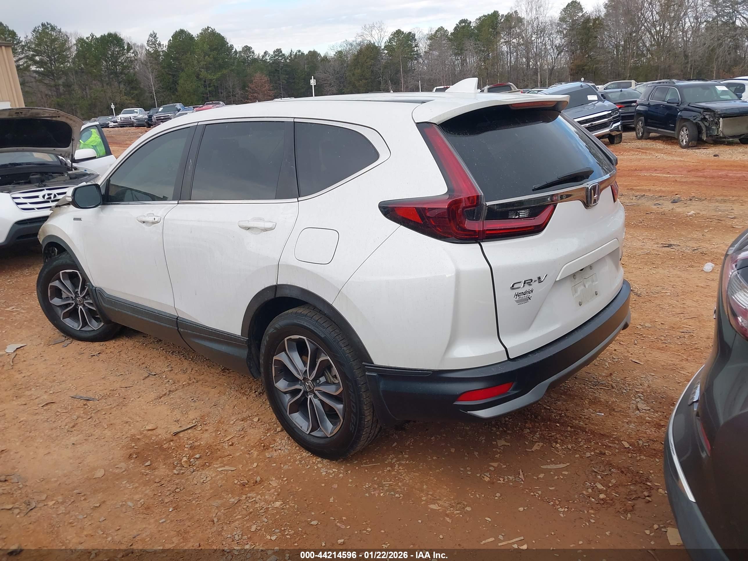 HONDA CR-V image 3