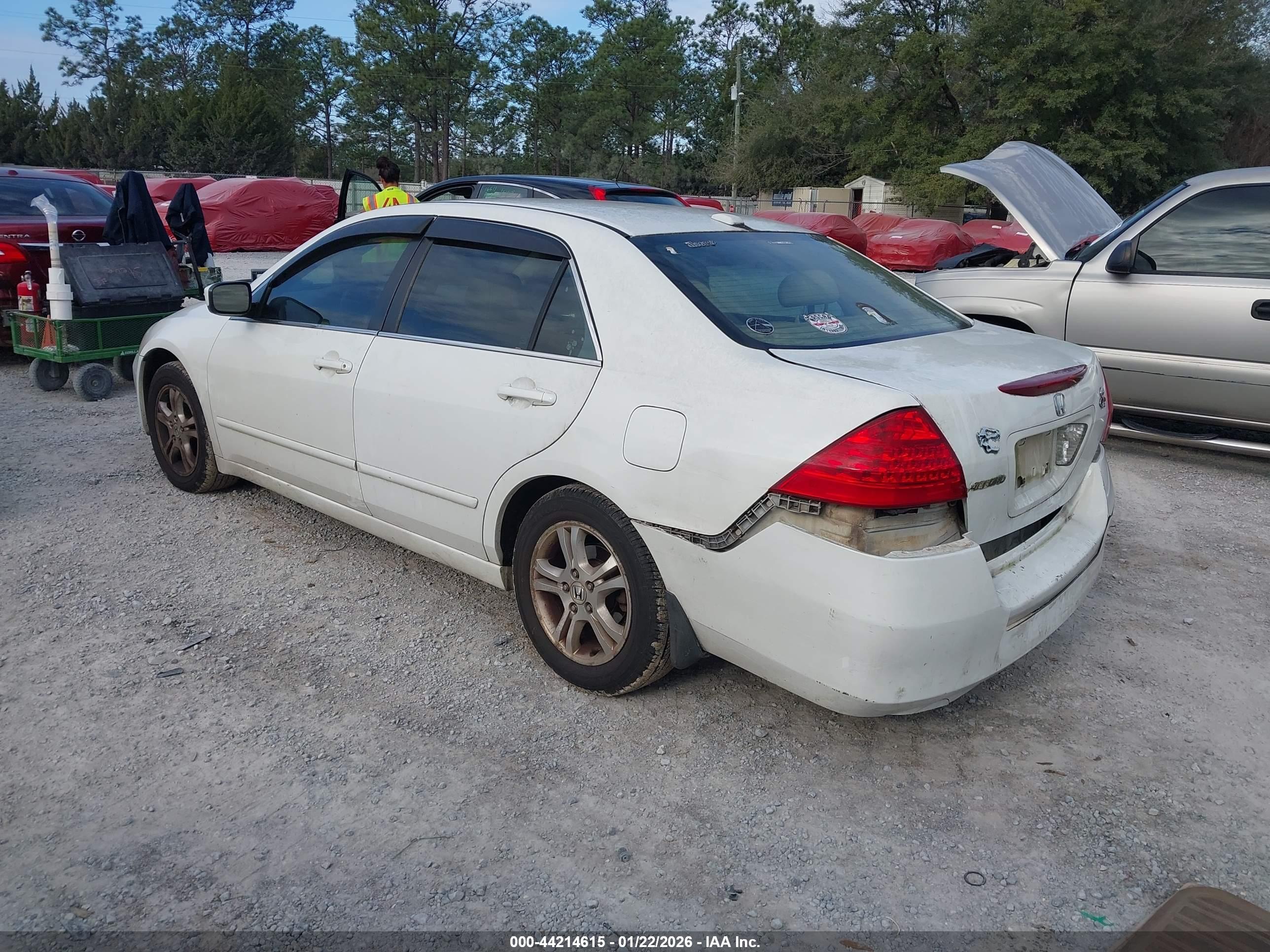 HONDA ACCORD image 3