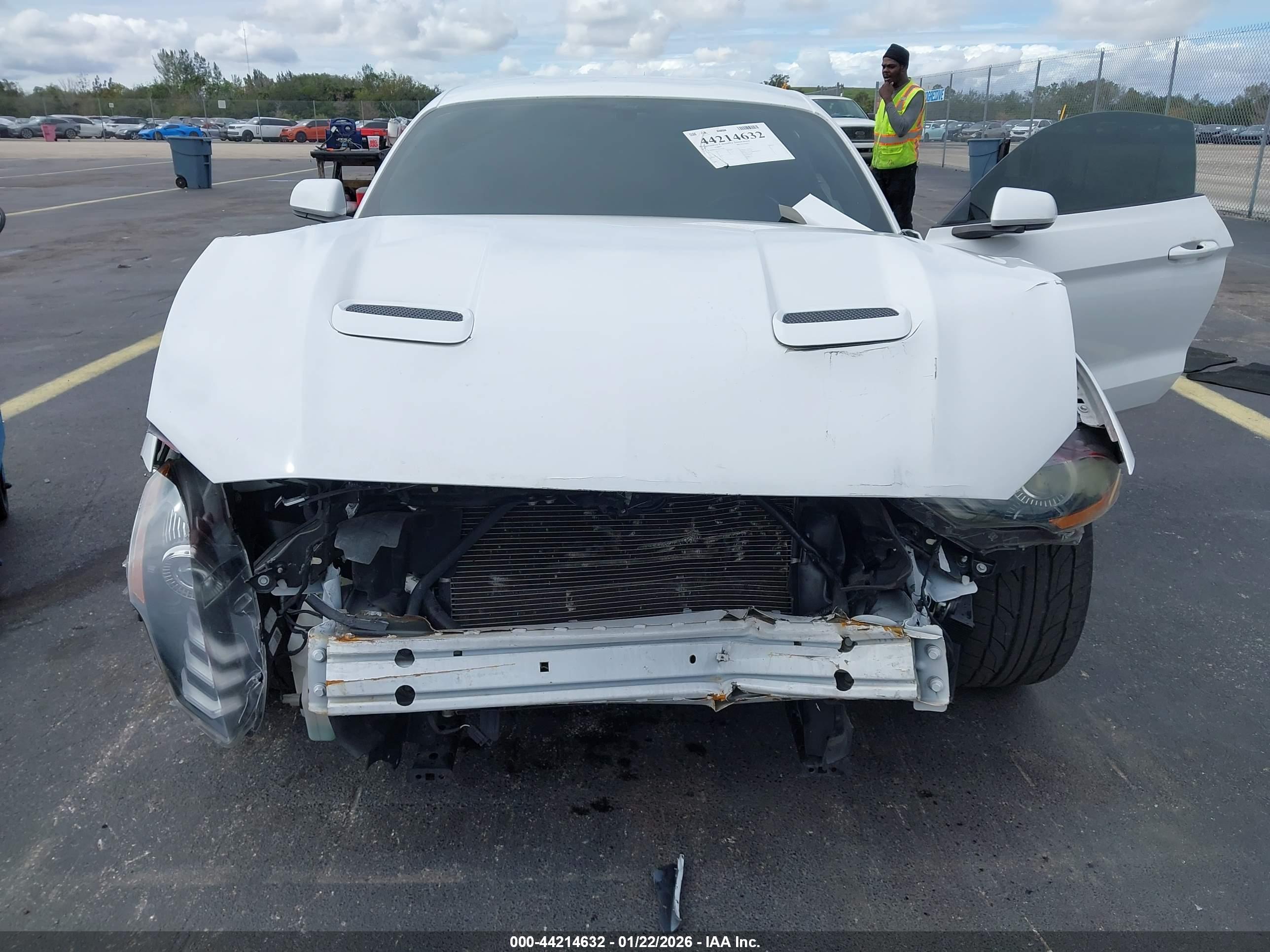 FORD MUSTANG image 6