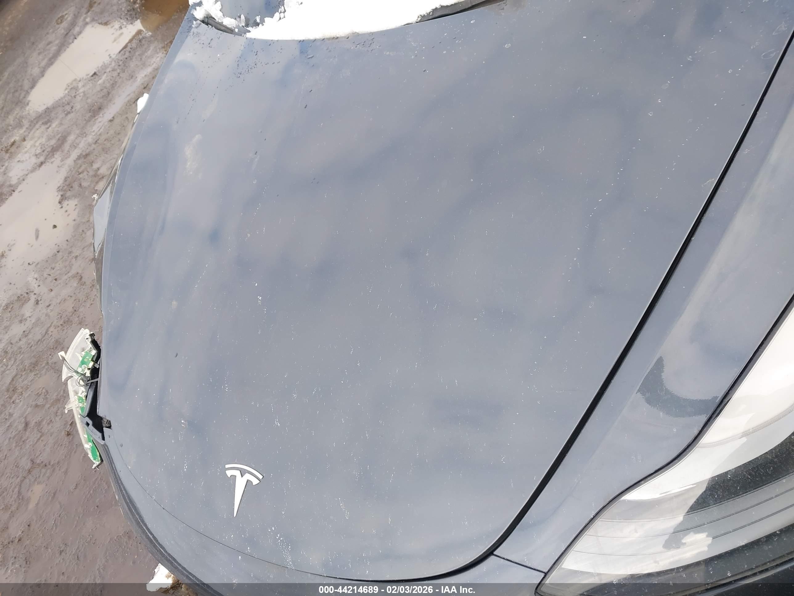 TESLA MODEL image 10