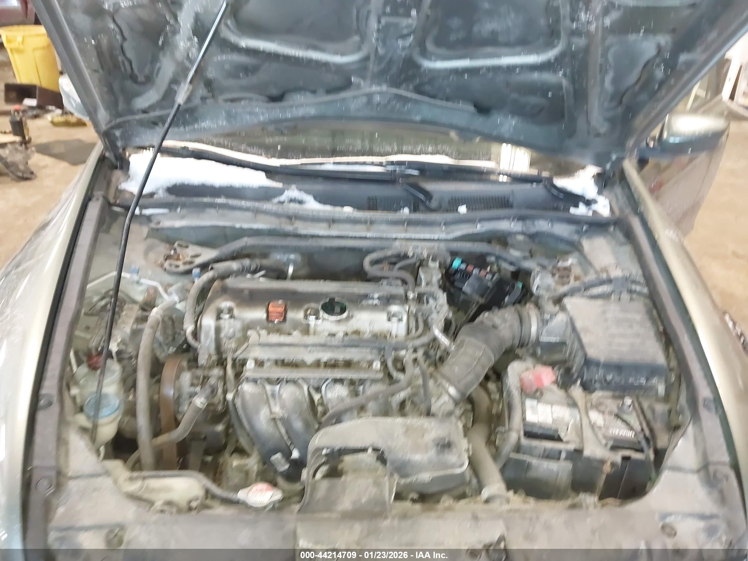 HONDA ACCORD image 10