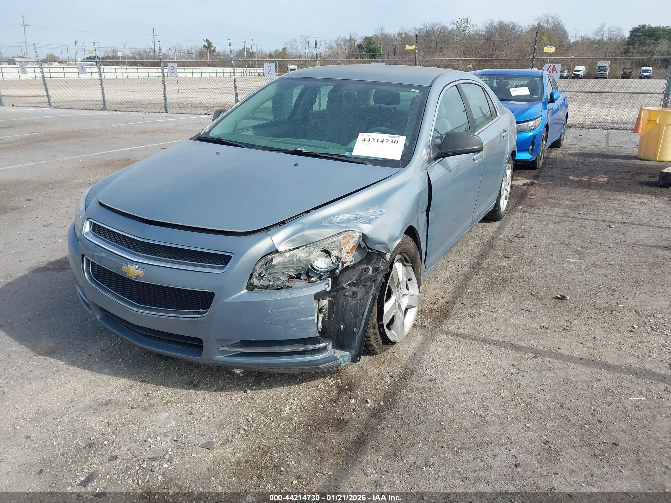 CHEVROLET MALIBU image 2