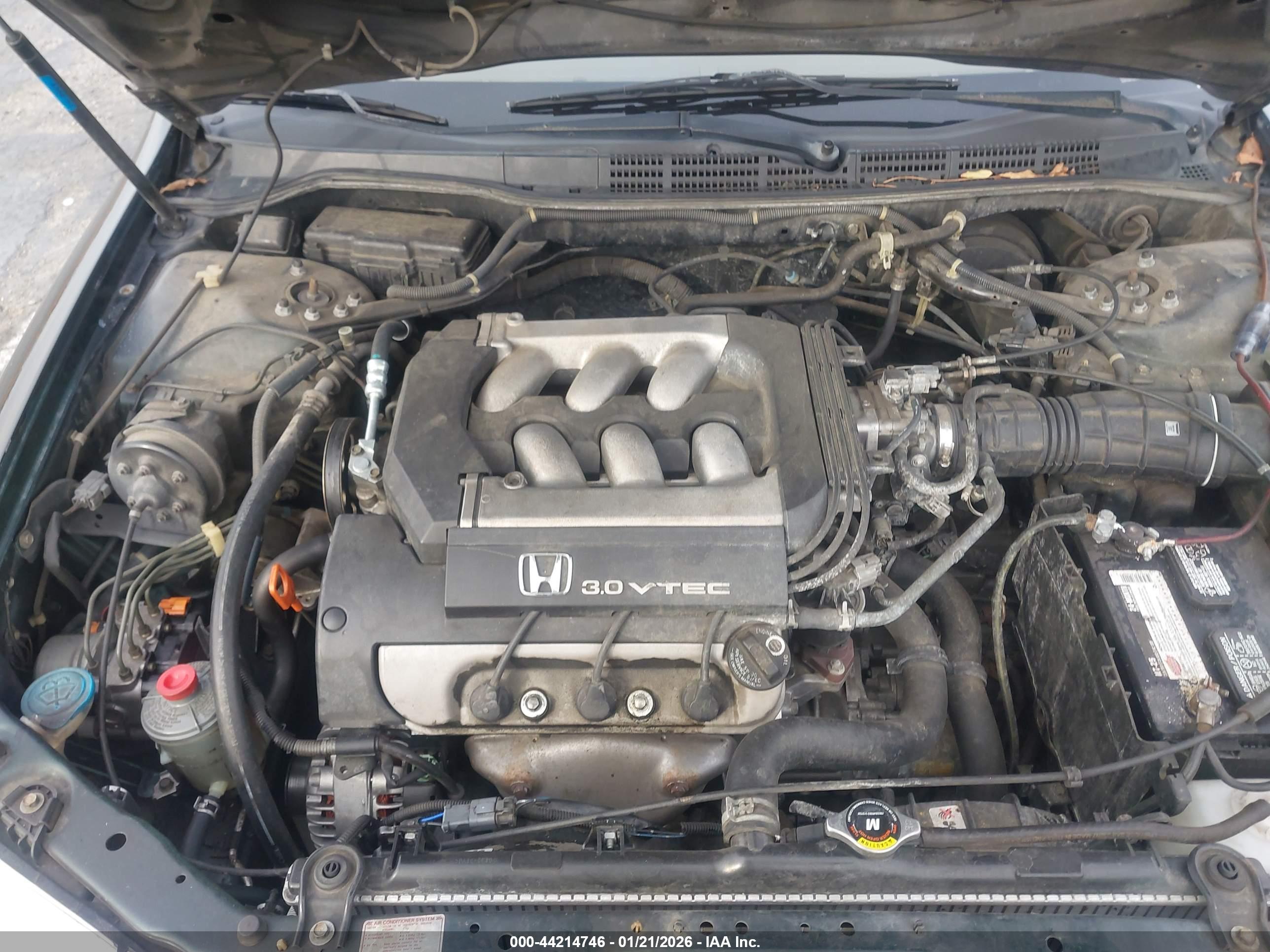 HONDA ACCORD image 10
