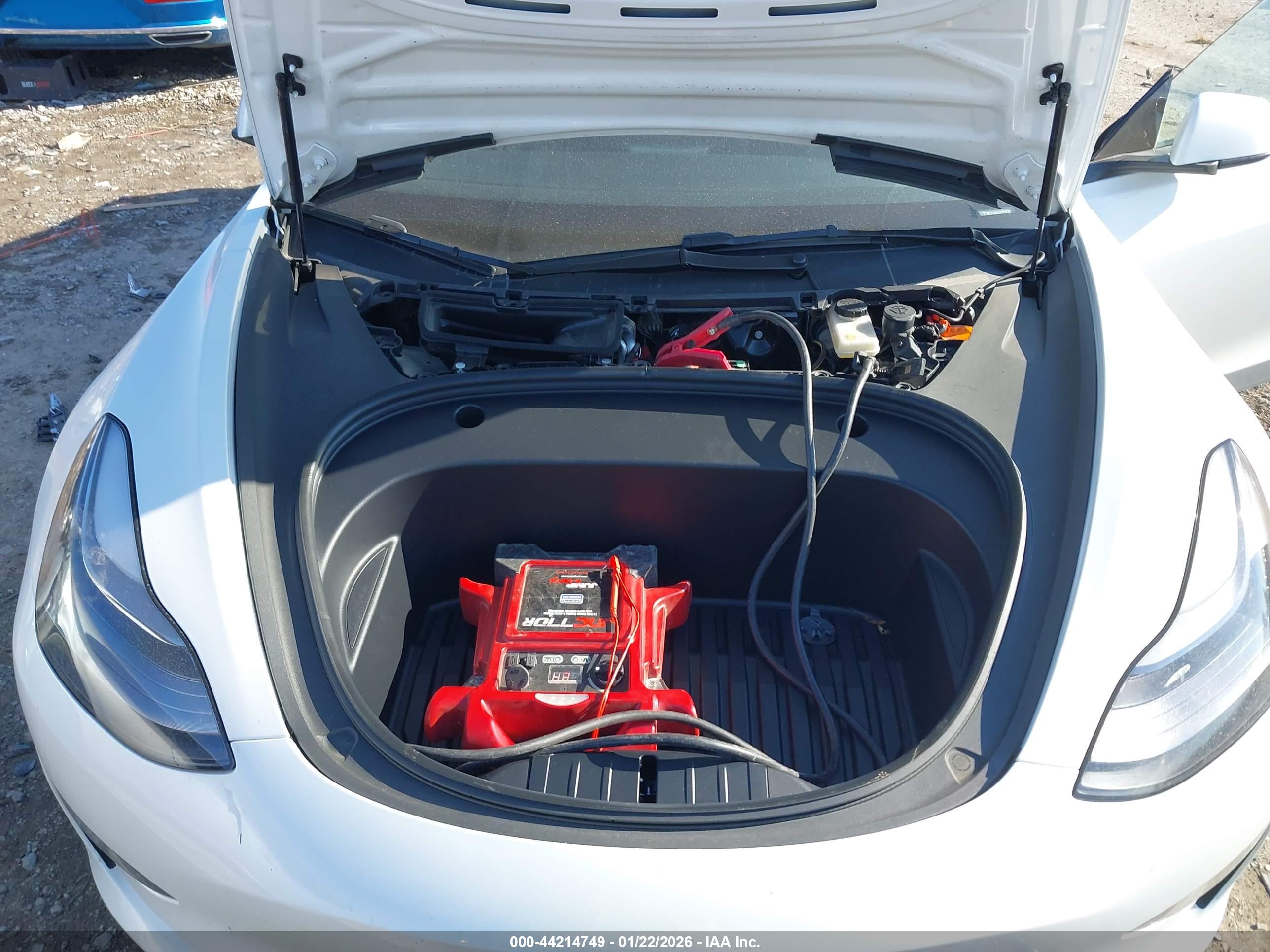 TESLA MODEL image 10