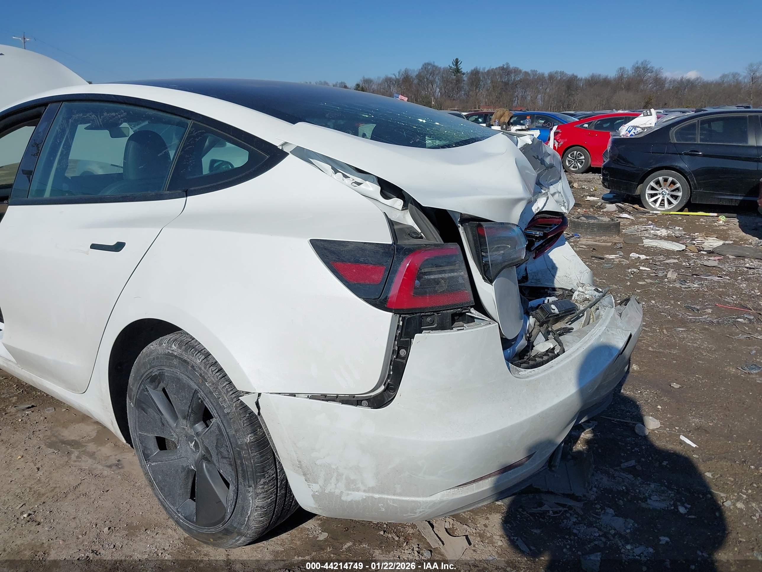 TESLA MODEL image 6