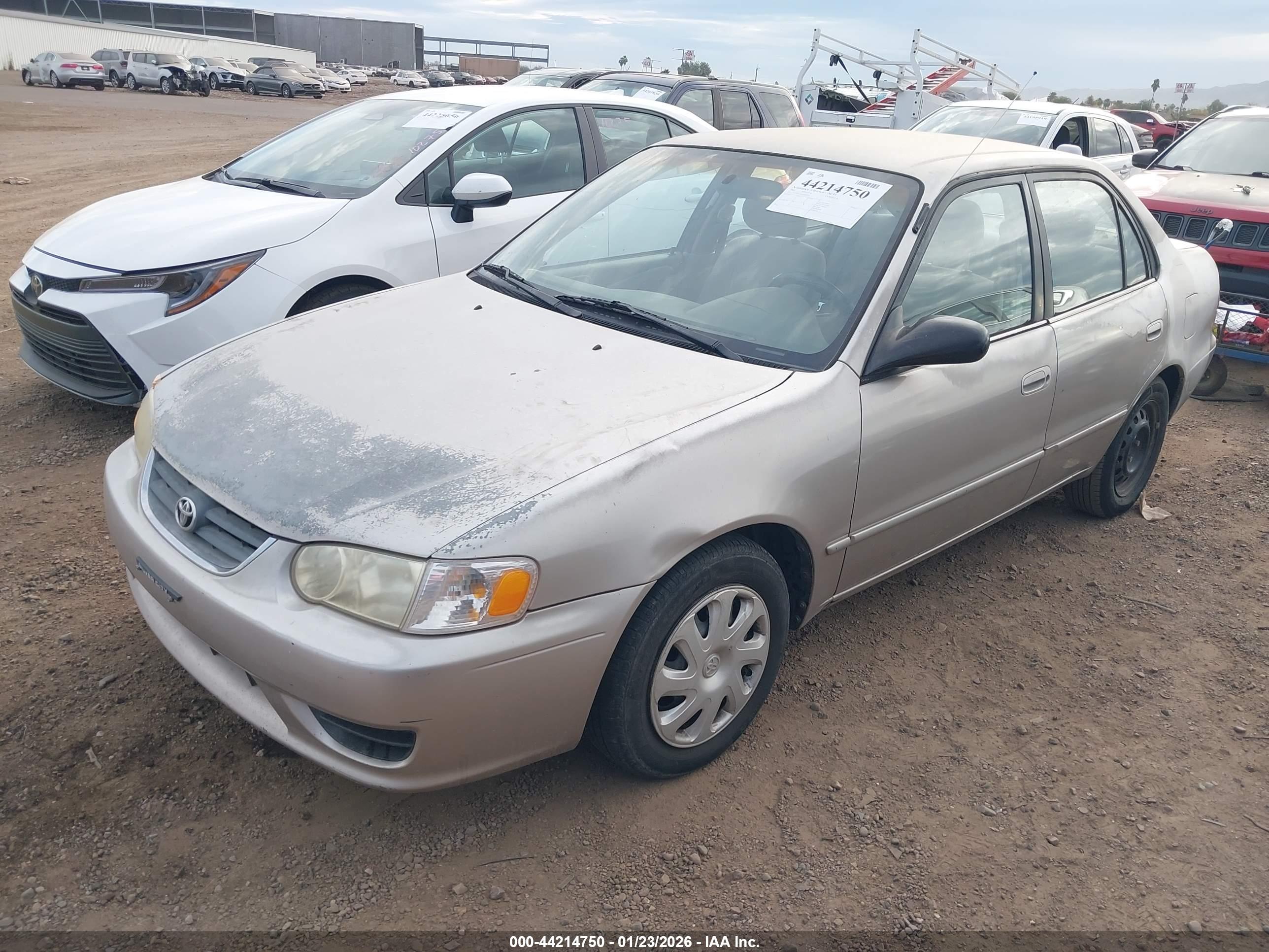 TOYOTA COROLLA image 2