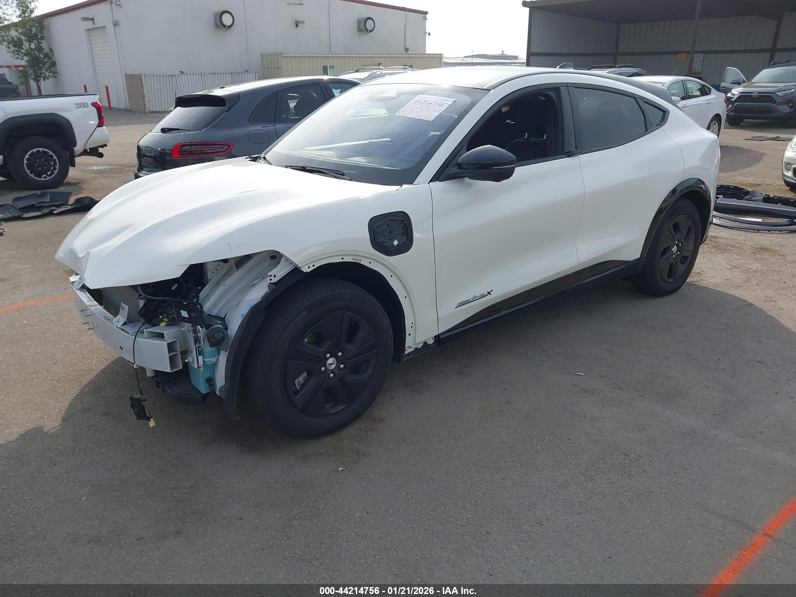 FORD MUSTANG image 2