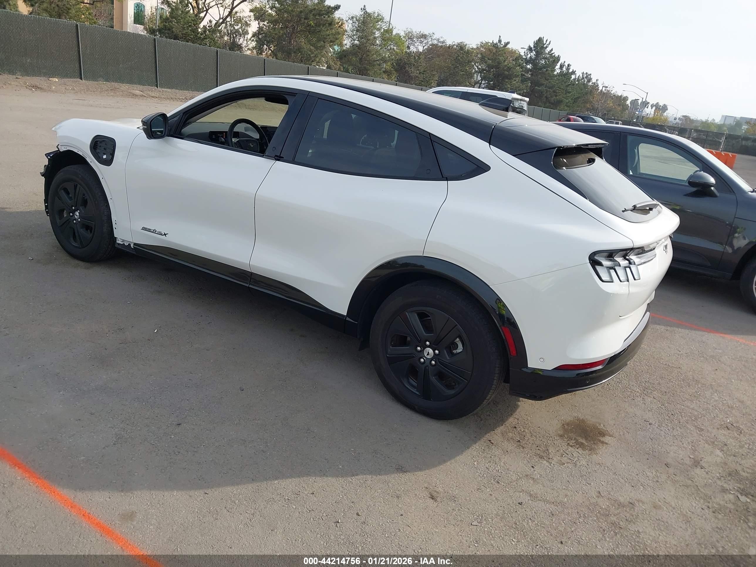 FORD MUSTANG image 3