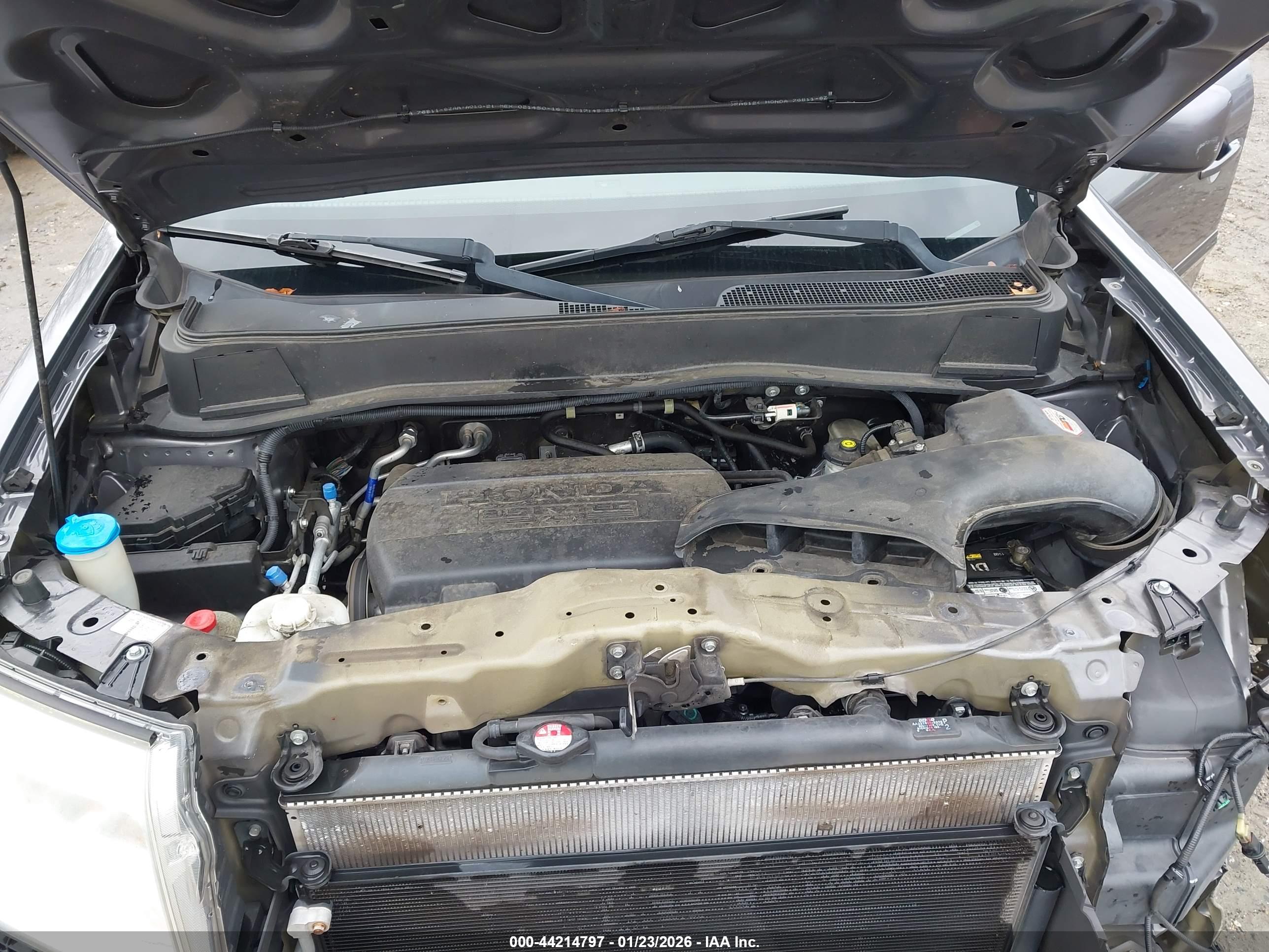 HONDA PILOT image 10