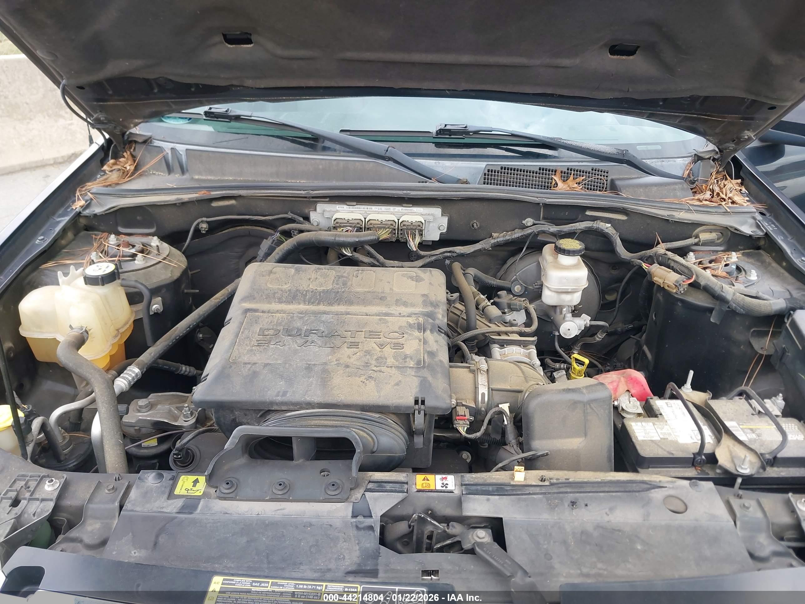 FORD ESCAPE image 10