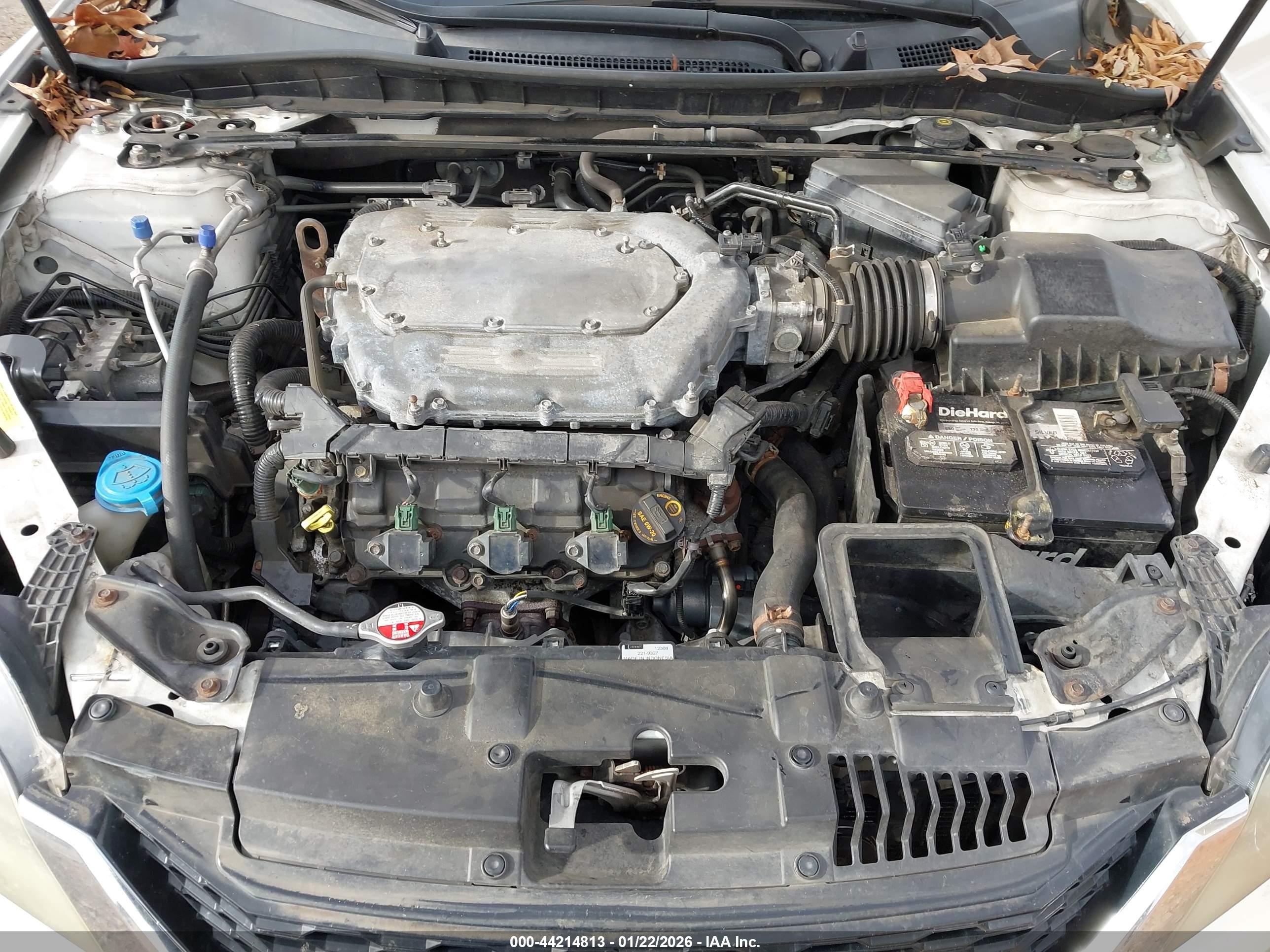 HONDA ACCORD image 10