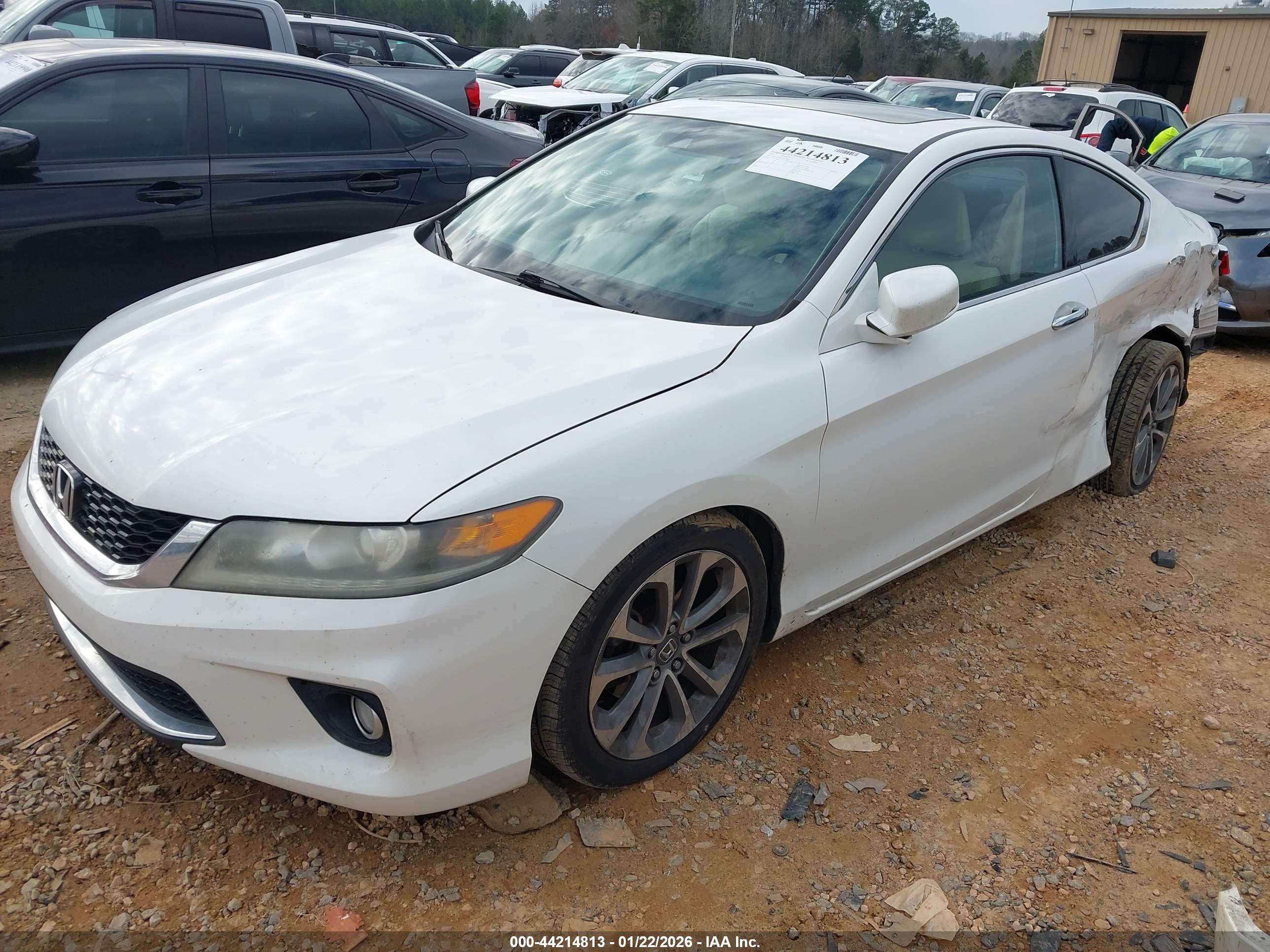 HONDA ACCORD image 2