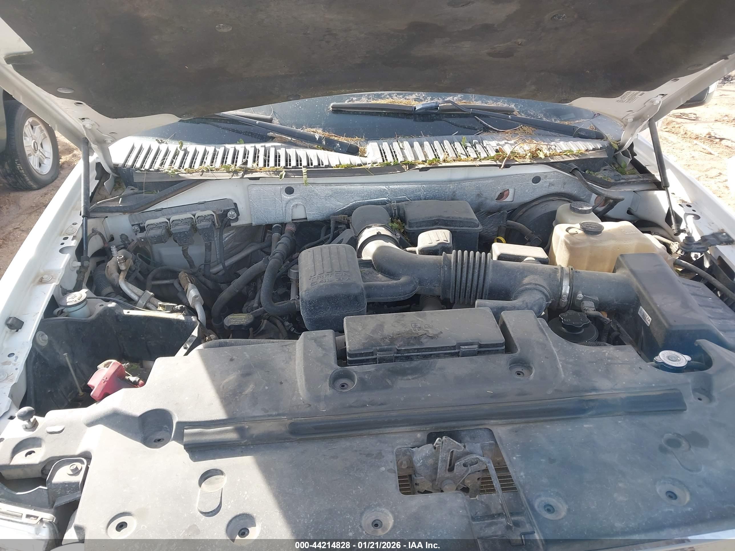 FORD EXPEDITION image 10