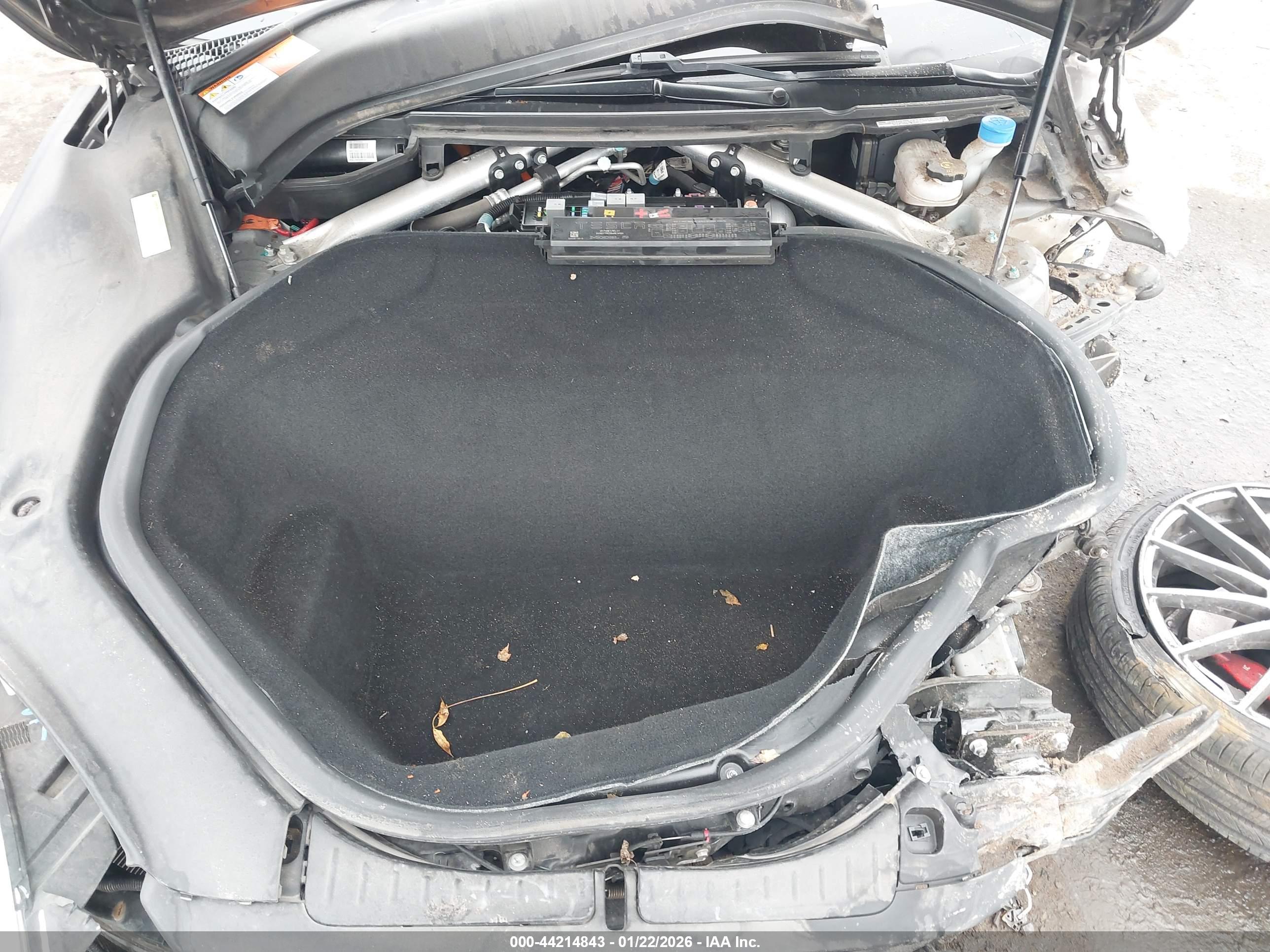 TESLA MODEL image 10
