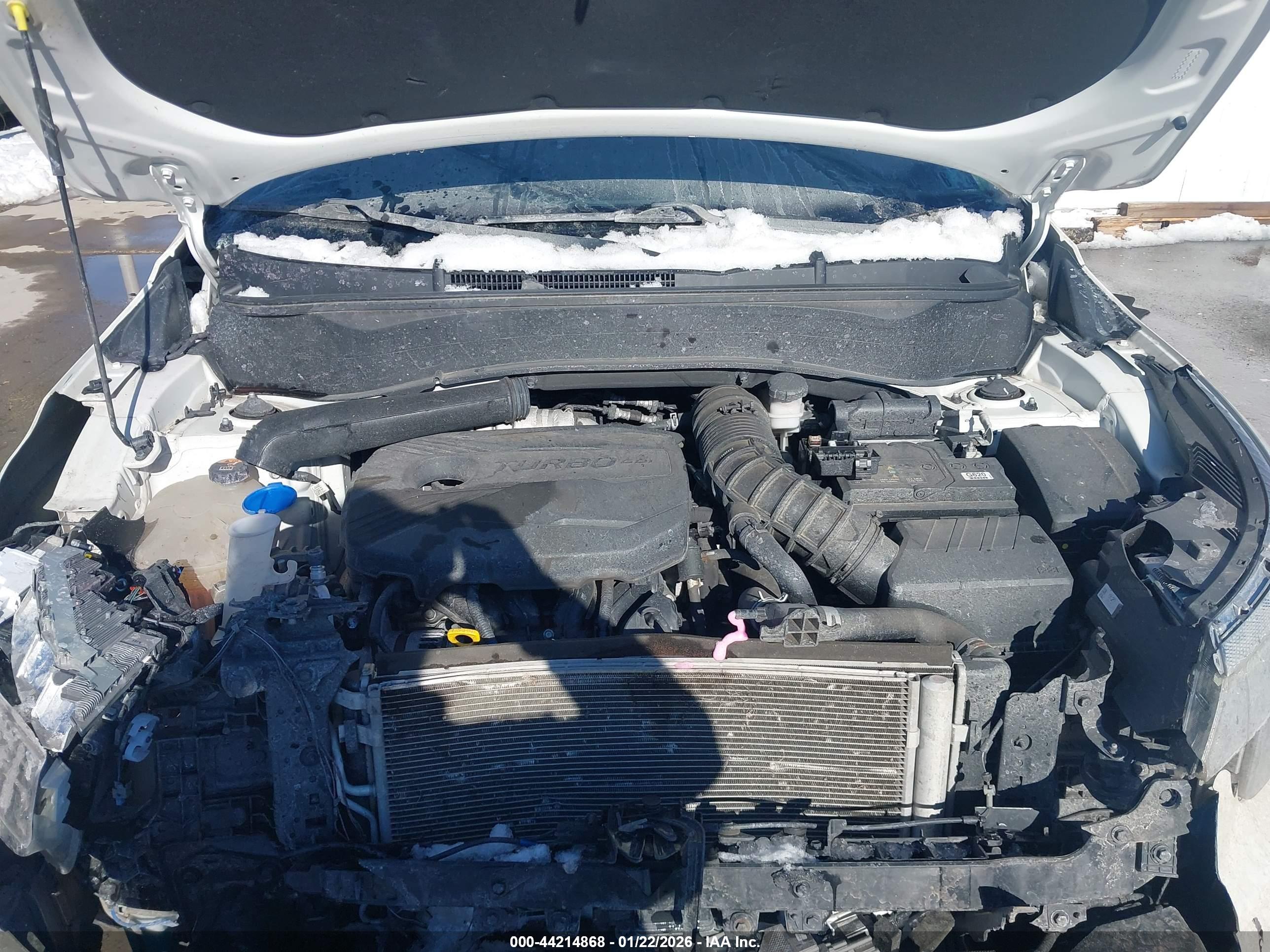 KIA SELTOS image 10