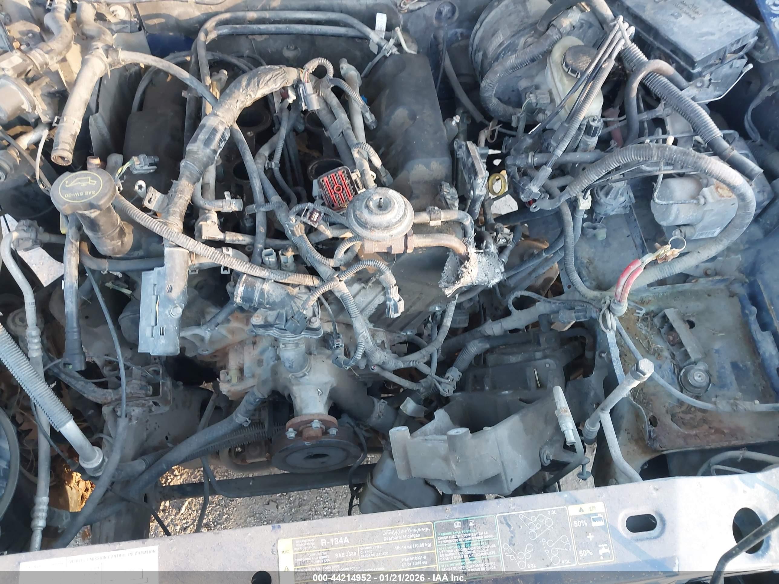 FORD RANGER image 6