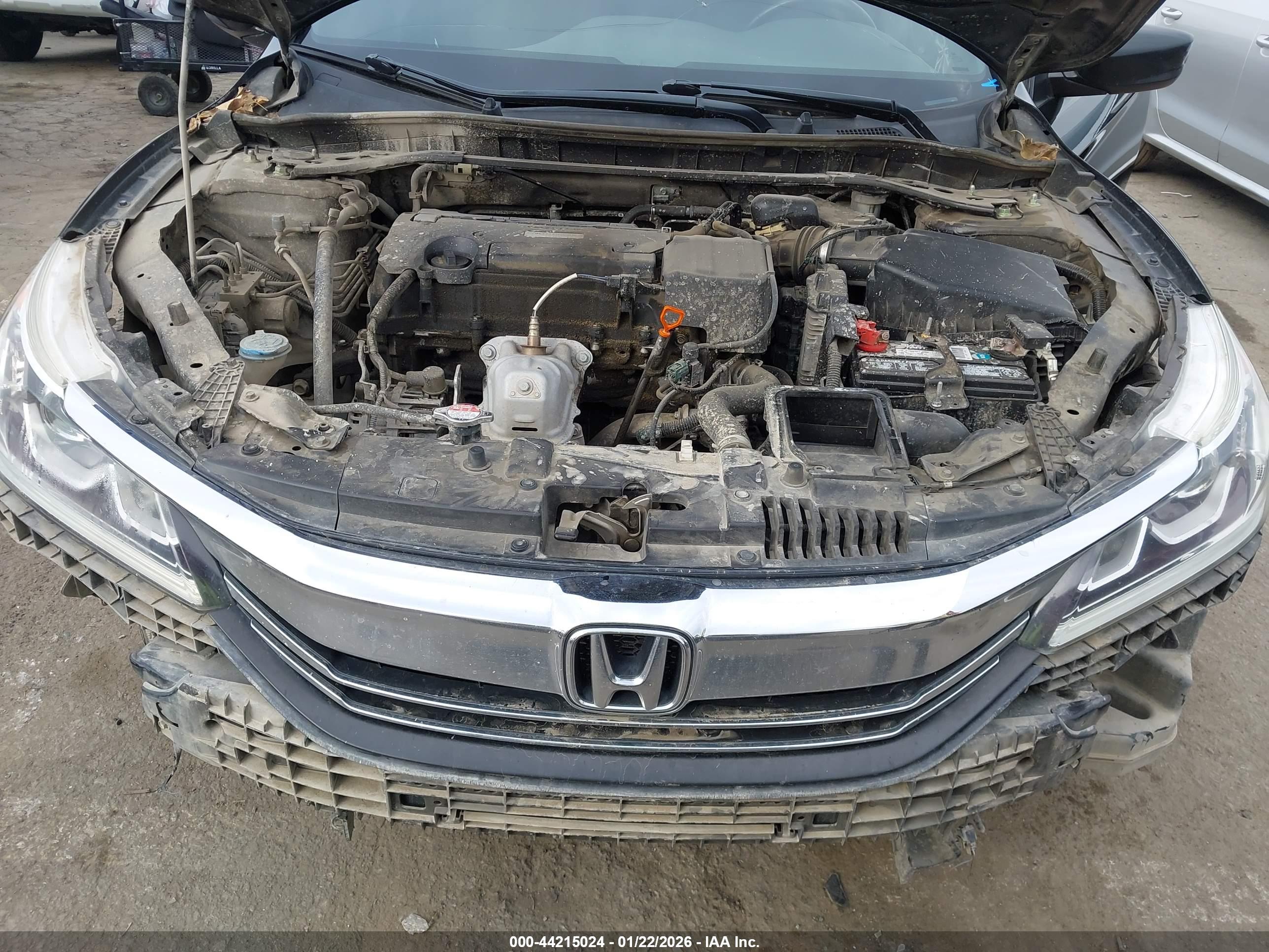 HONDA ACCORD image 10