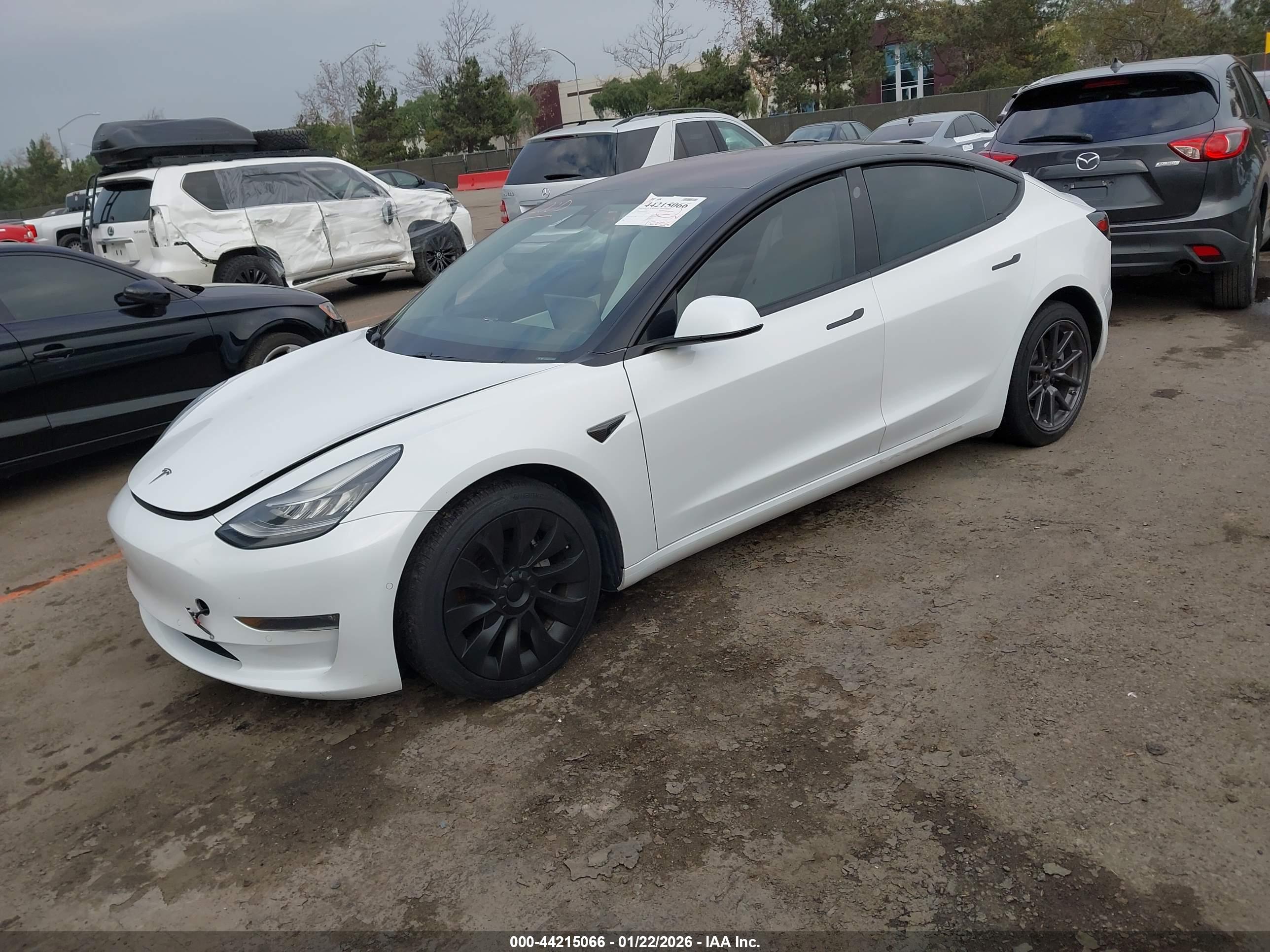 TESLA MODEL image 2