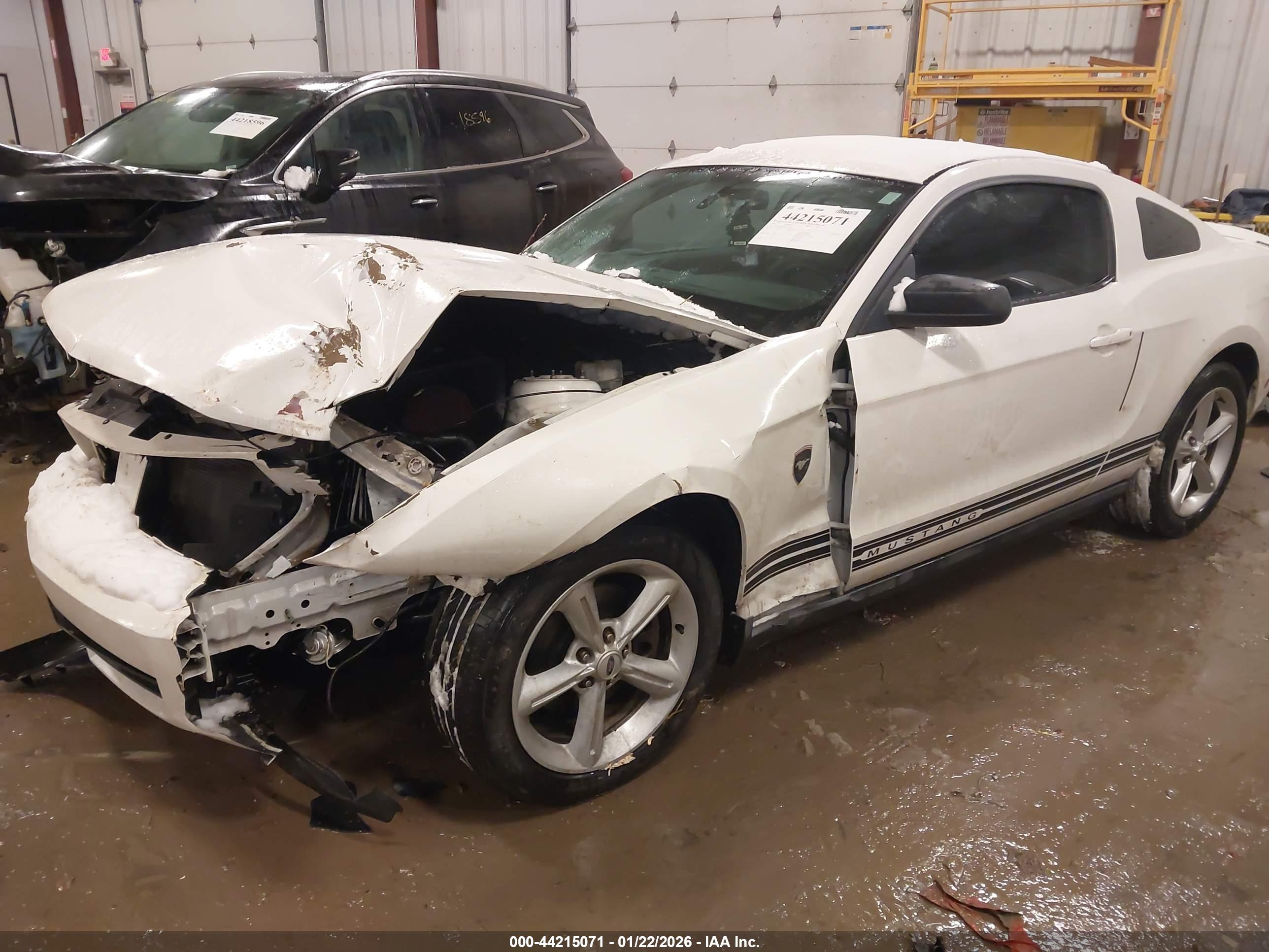 FORD MUSTANG image 2