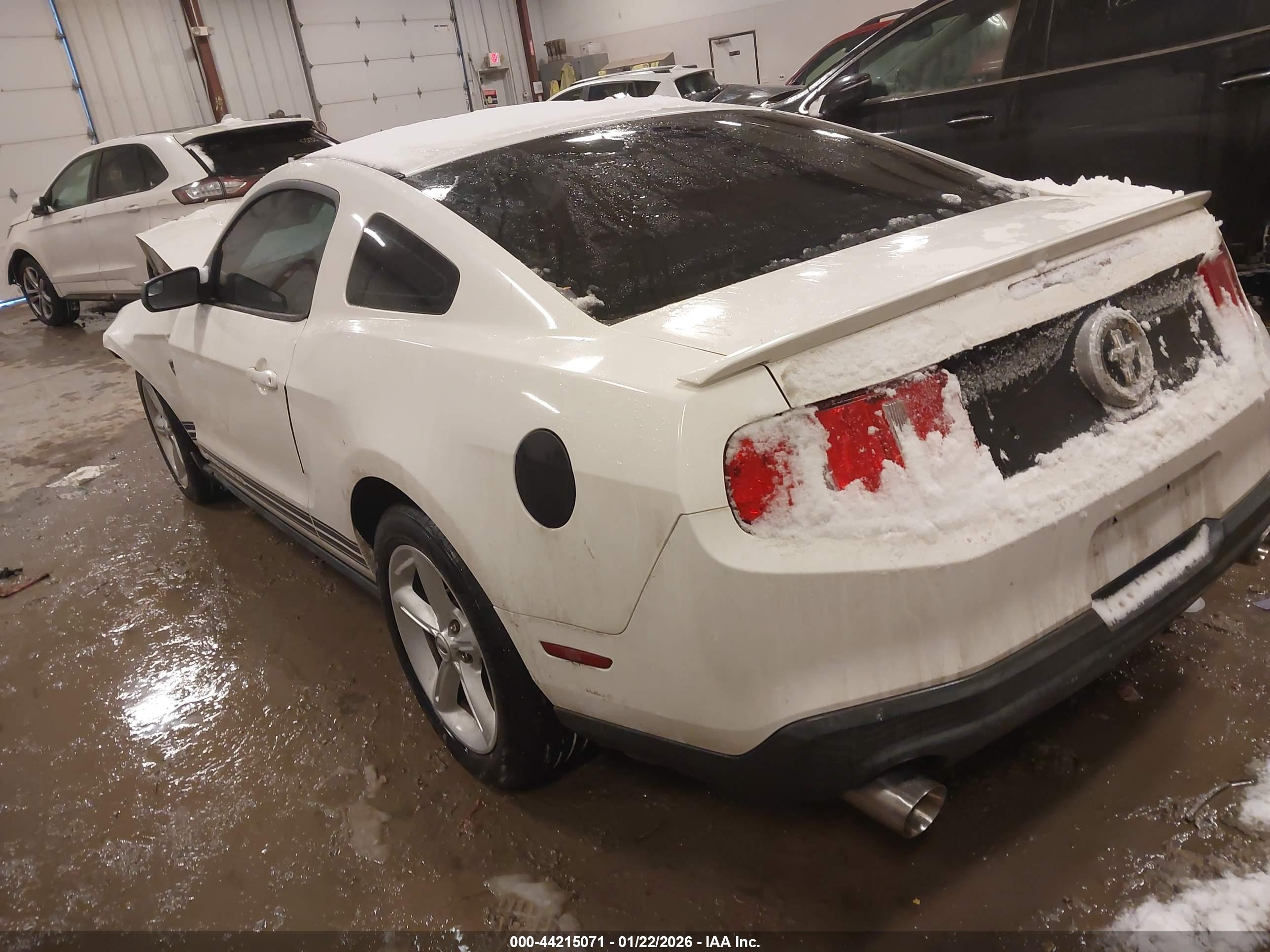 FORD MUSTANG image 3
