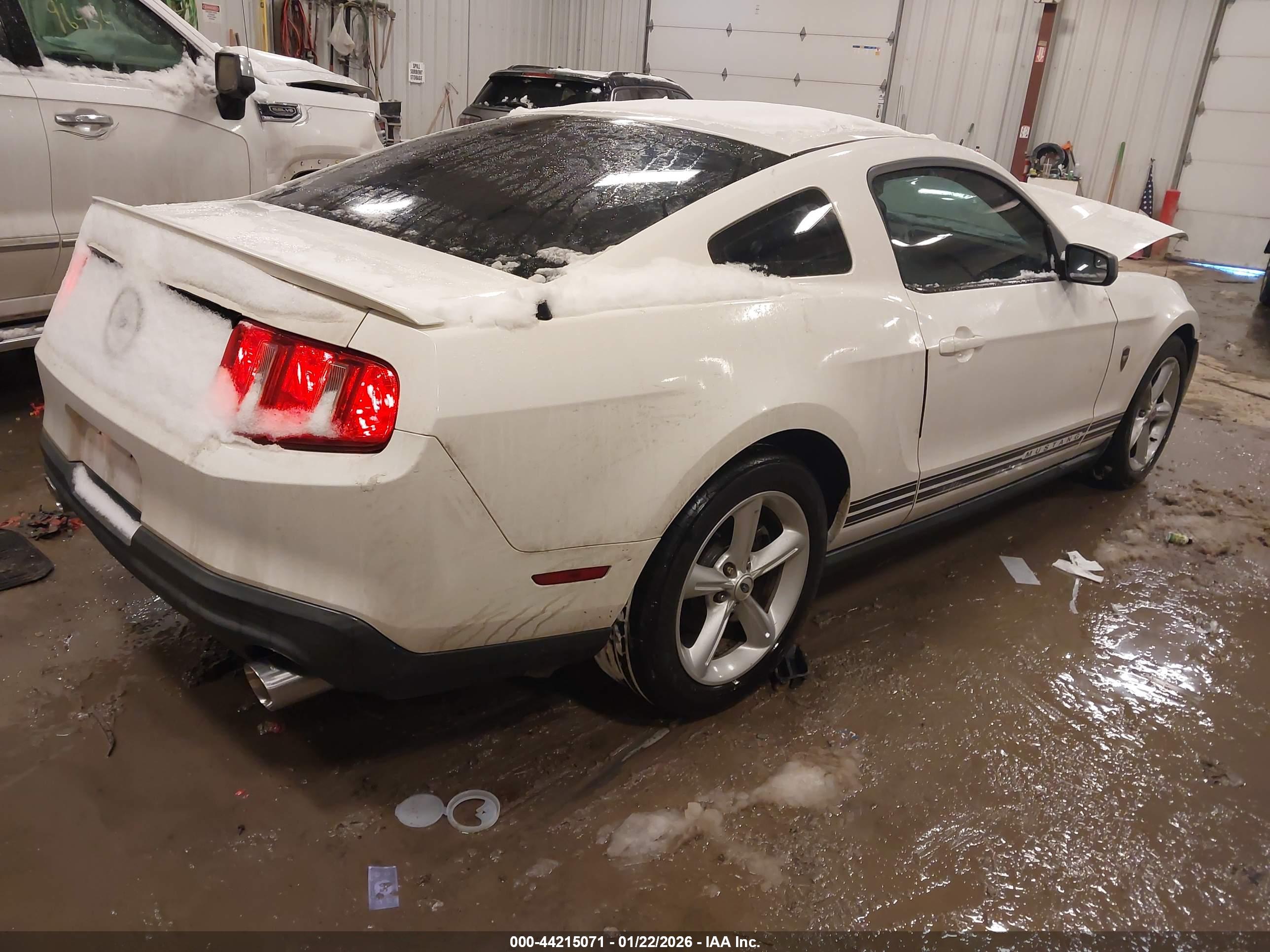 FORD MUSTANG image 4