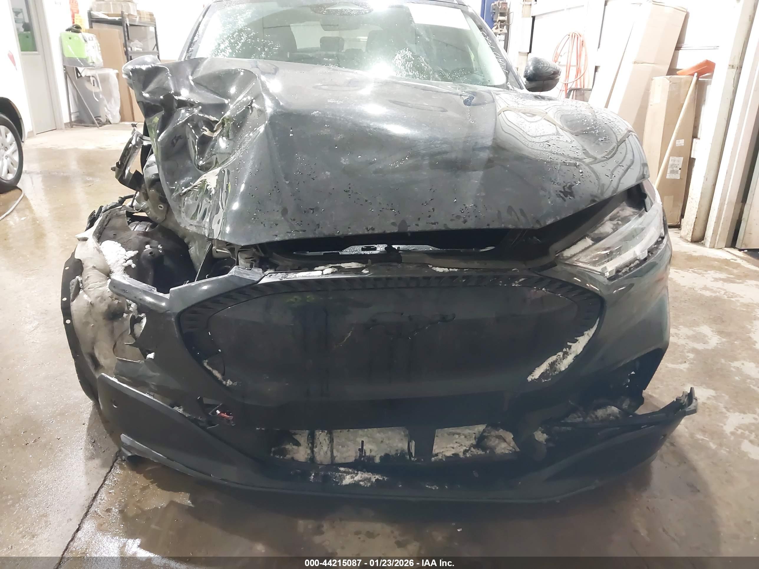 FORD MUSTANG image 6