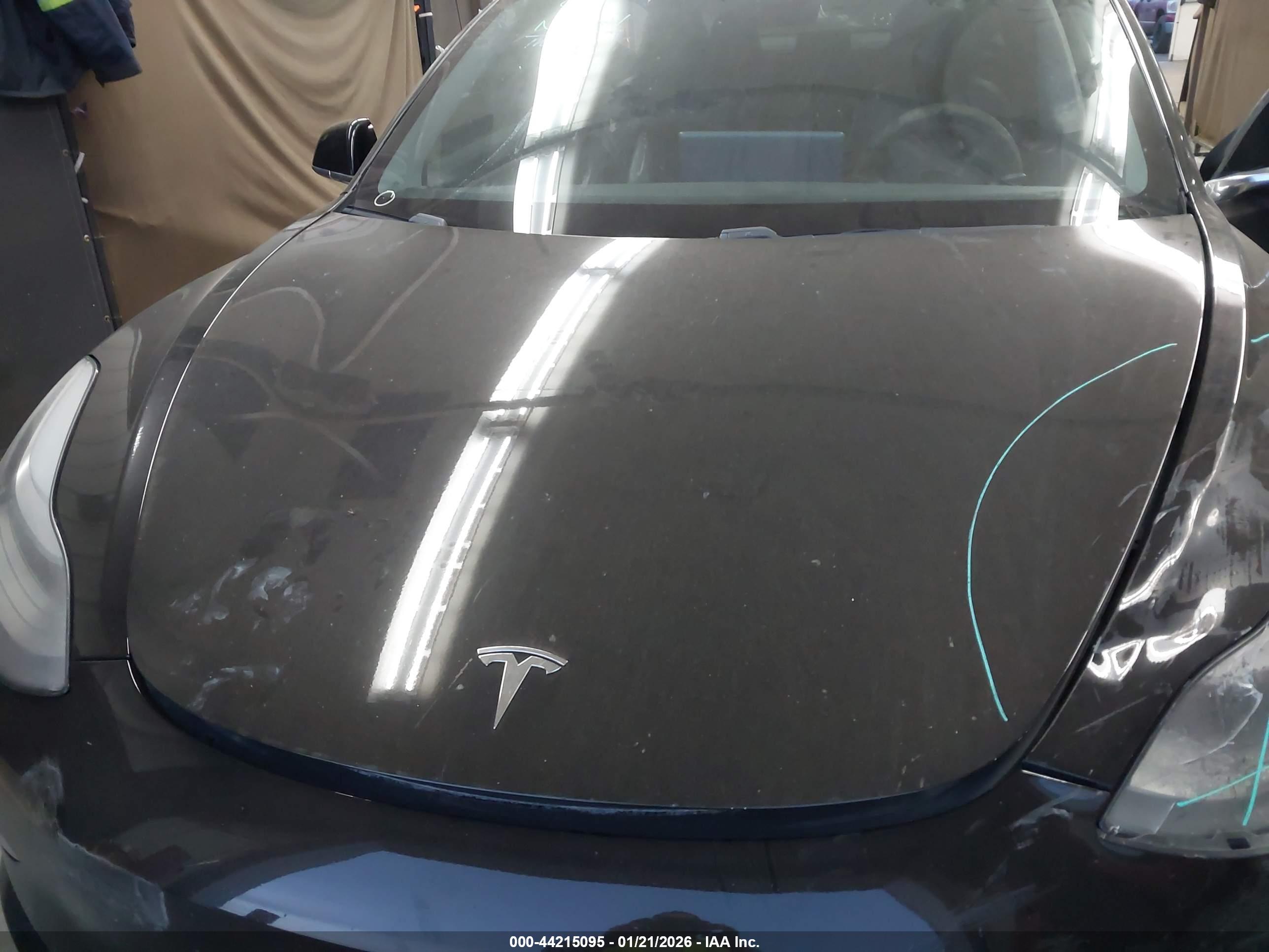 TESLA MODEL image 10