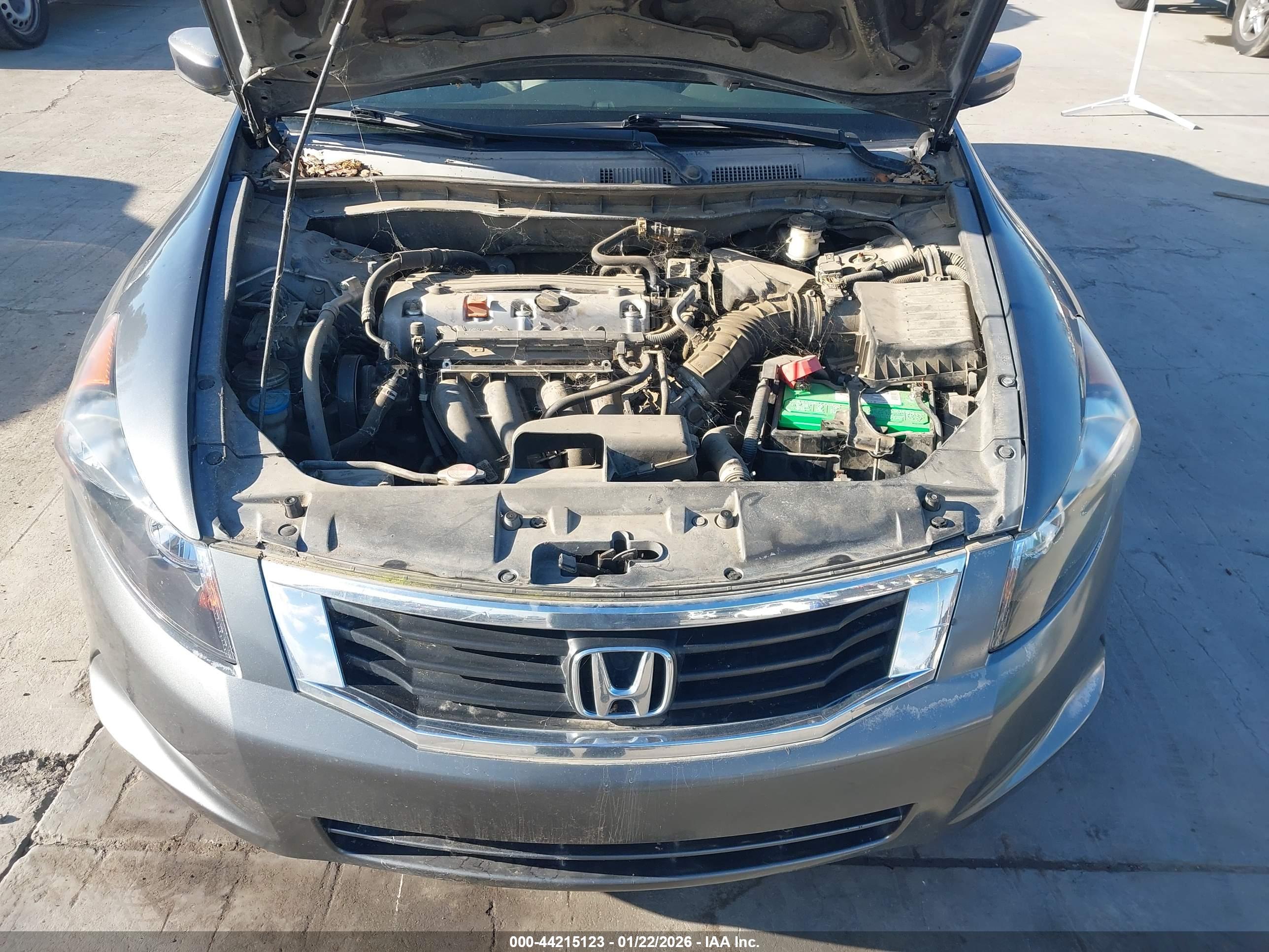 HONDA ACCORD image 10