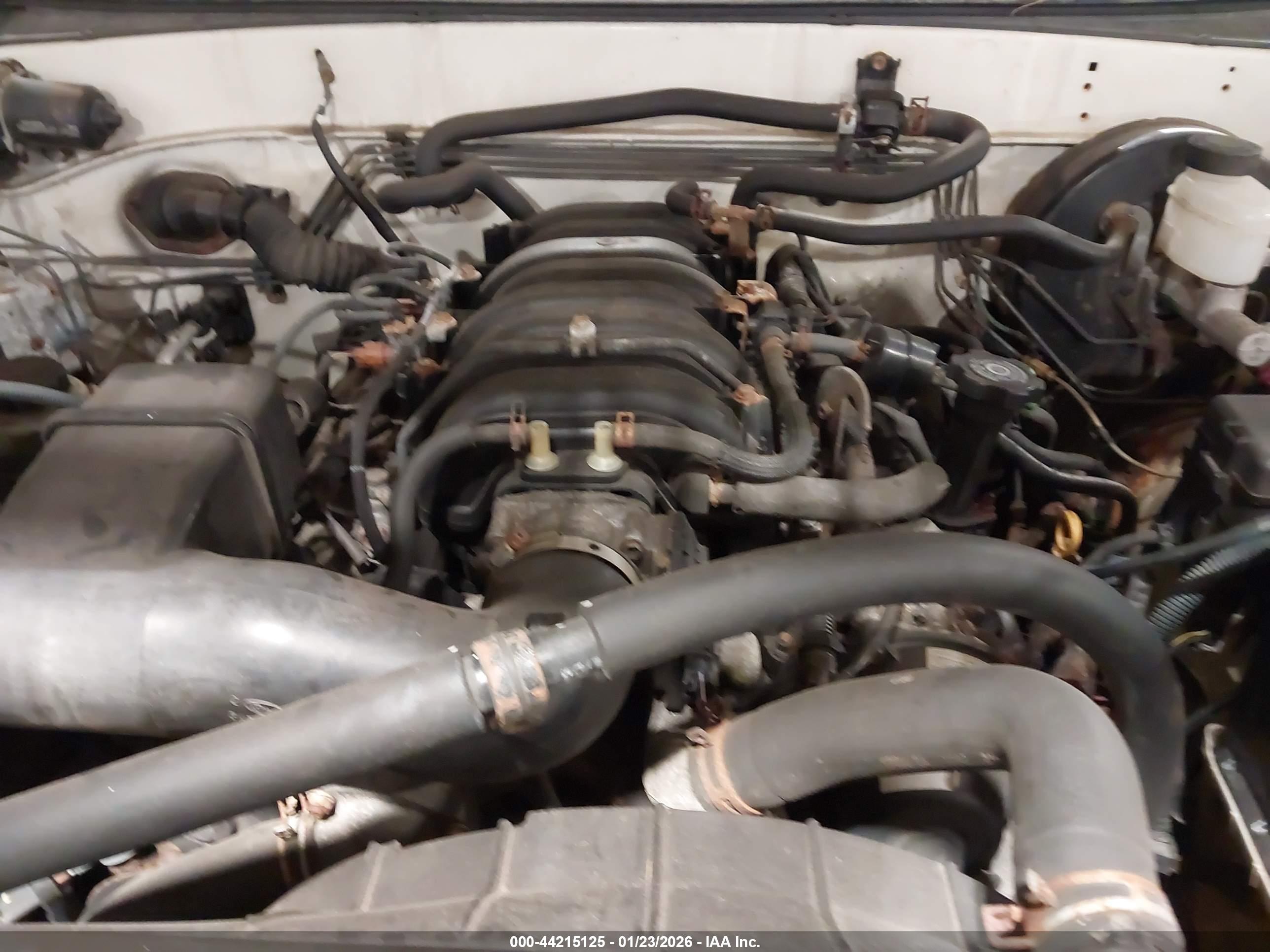 TOYOTA TUNDRA image 10