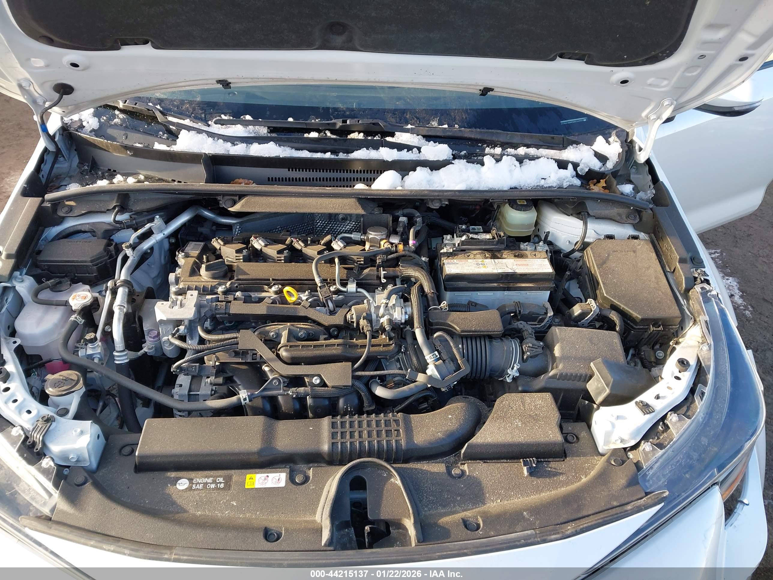 TOYOTA COROLLA image 10