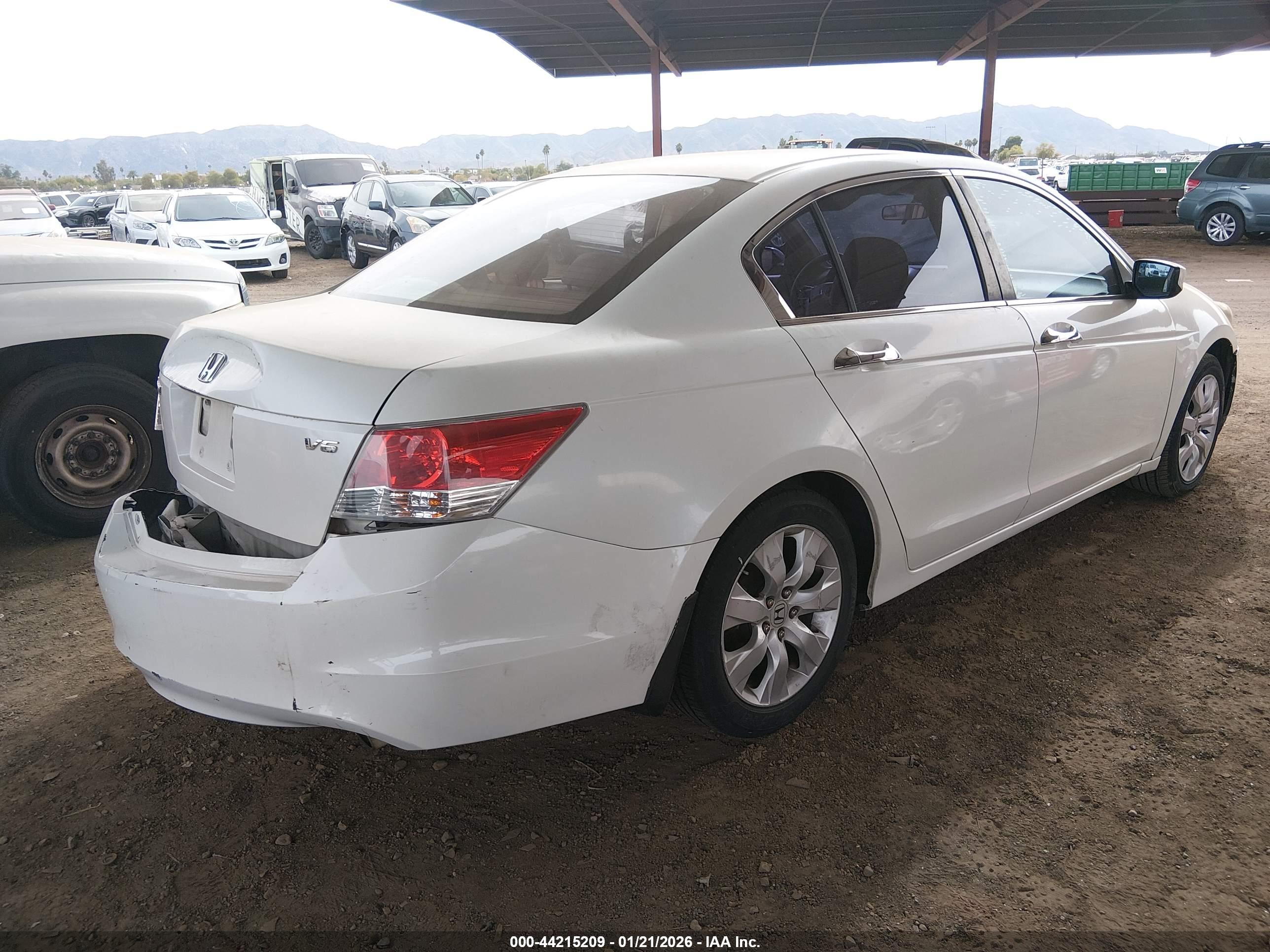 HONDA ACCORD image 4
