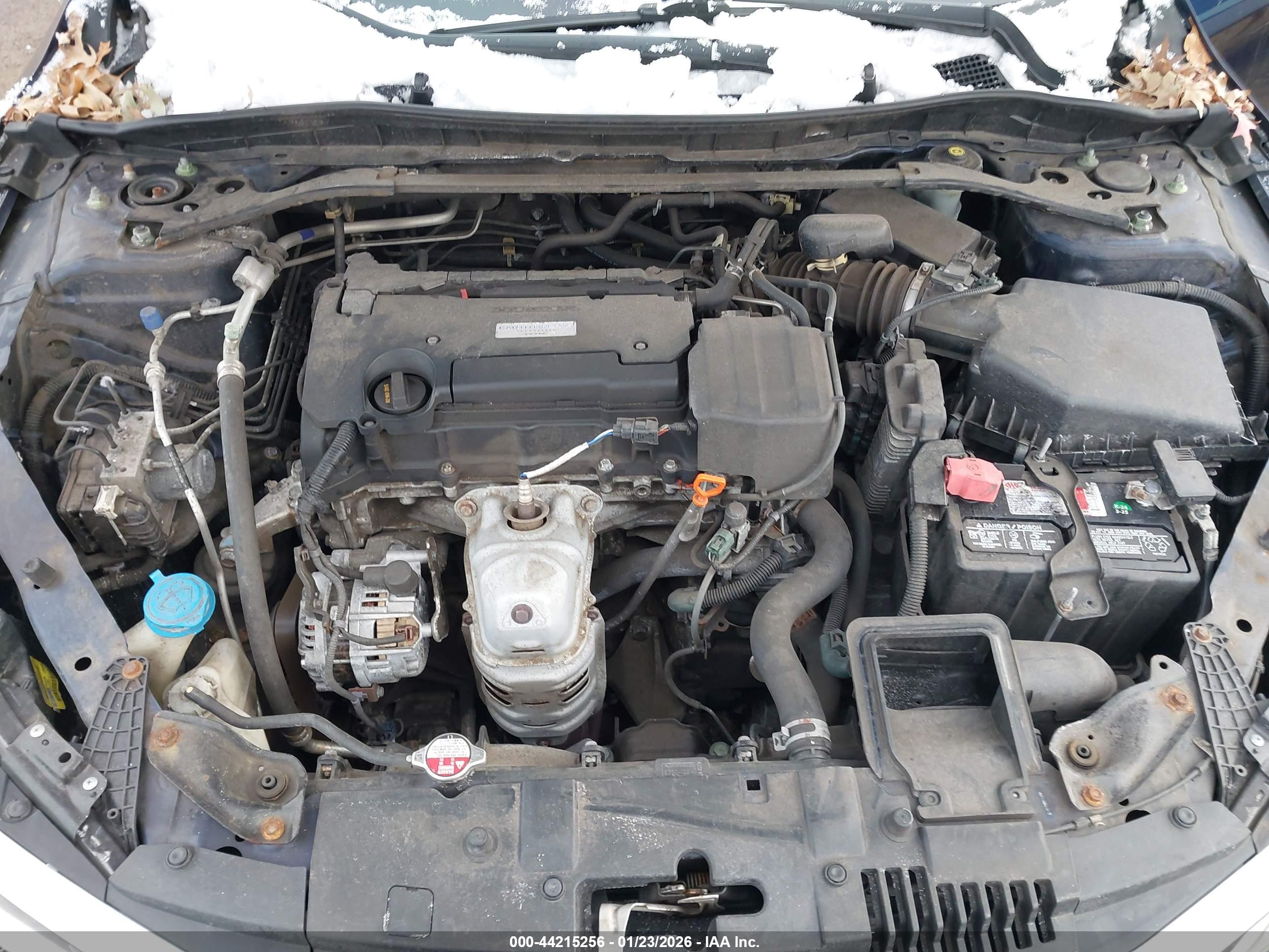 HONDA ACCORD image 10